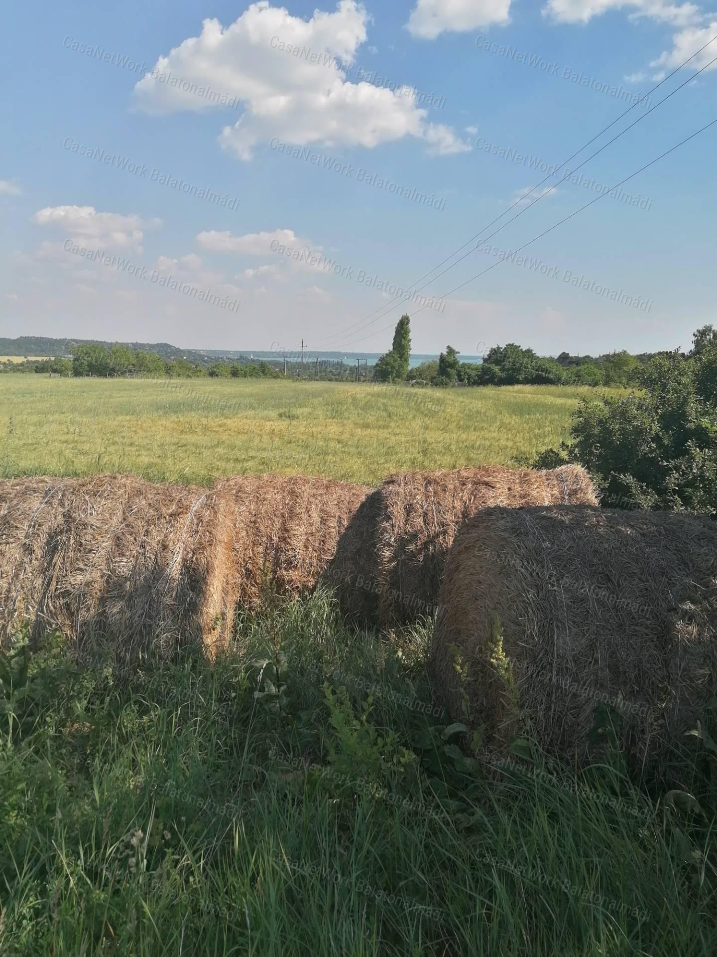 Zártkert az öreghegyen