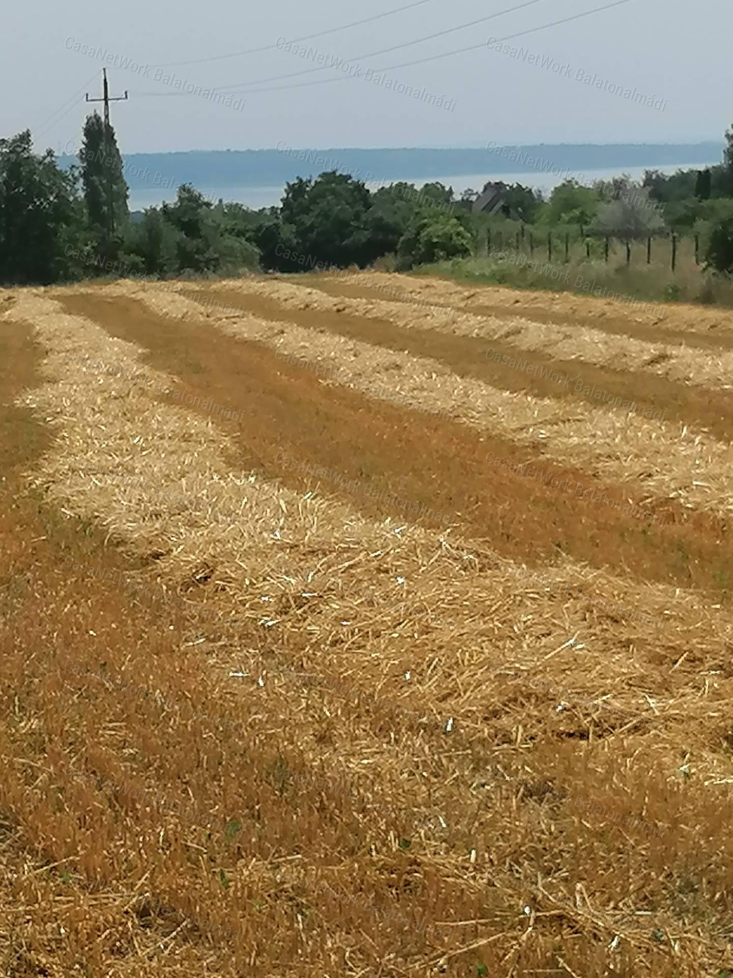 Zártkert az öreghegyen