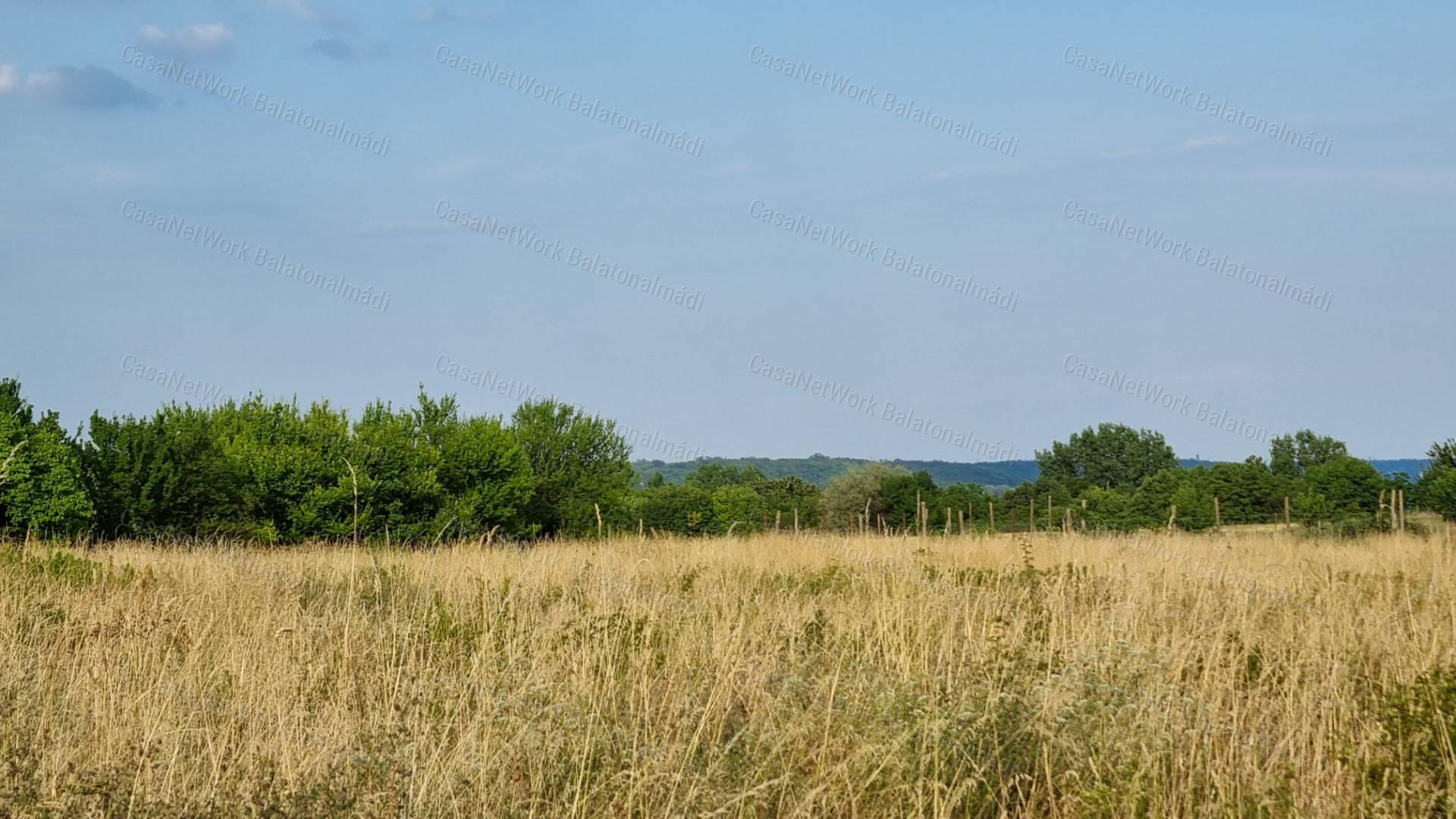 Eladó külterület Balatonalmádiban!