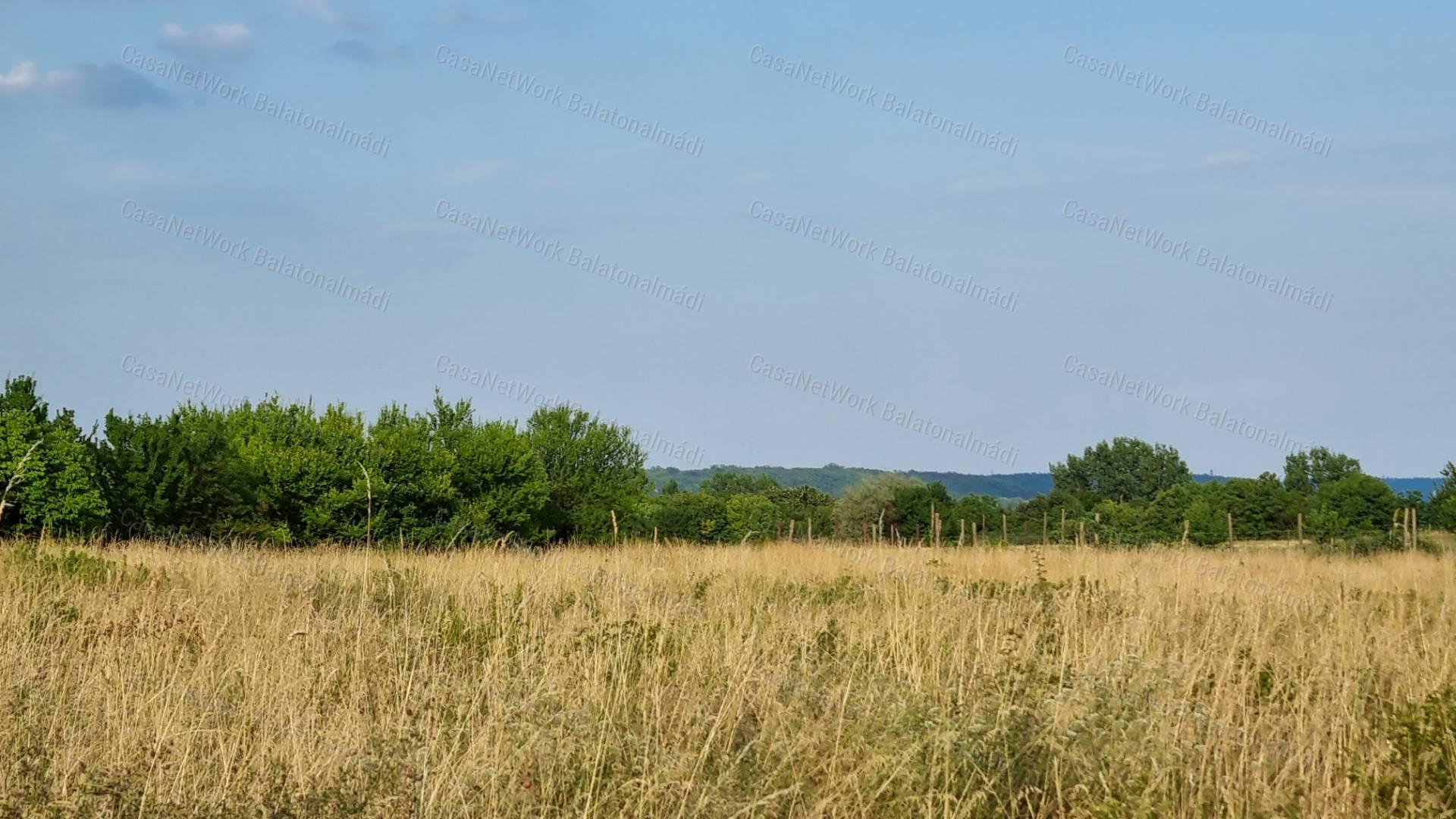 Eladó külterület Balatonalmádiban!
