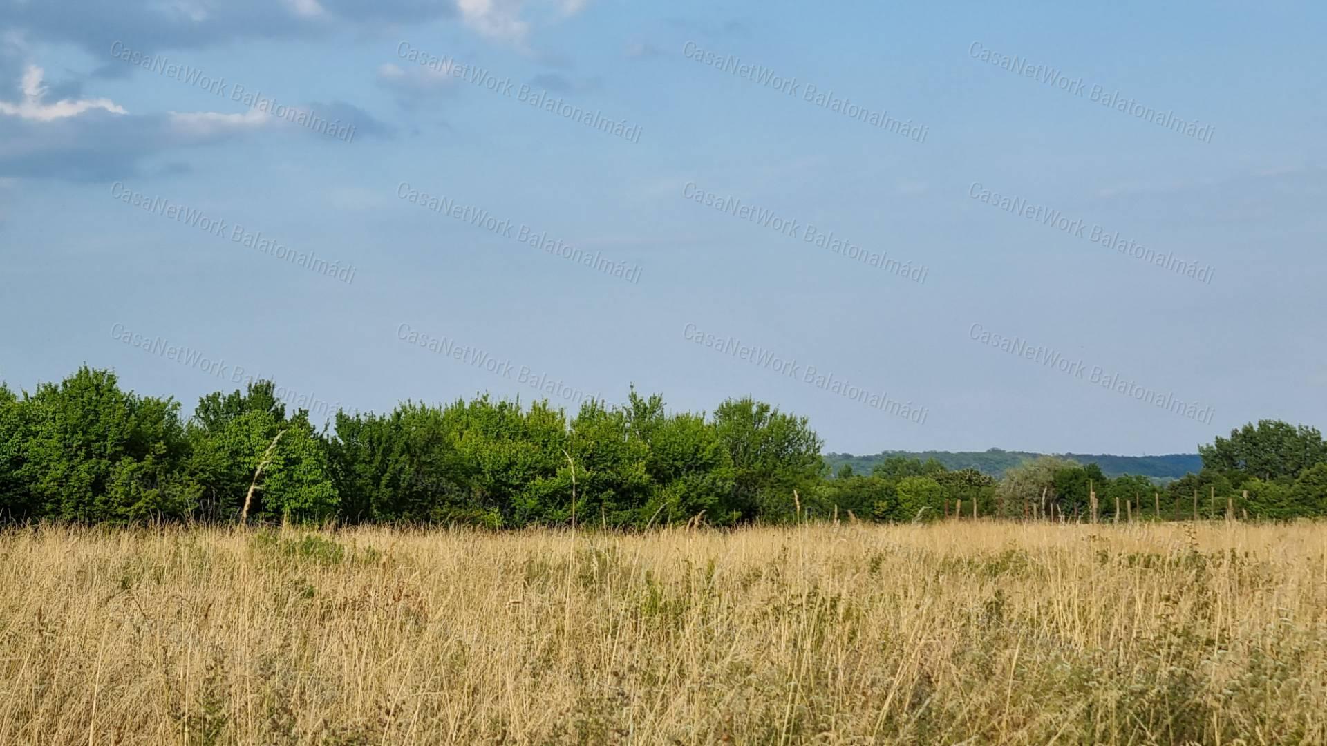 Eladó külterület Balatonalmádiban!