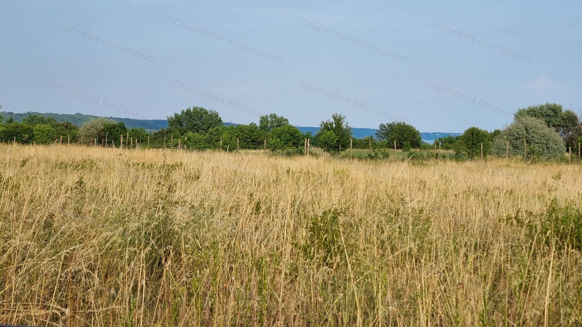 Eladó külterület Balatonalmádiban!