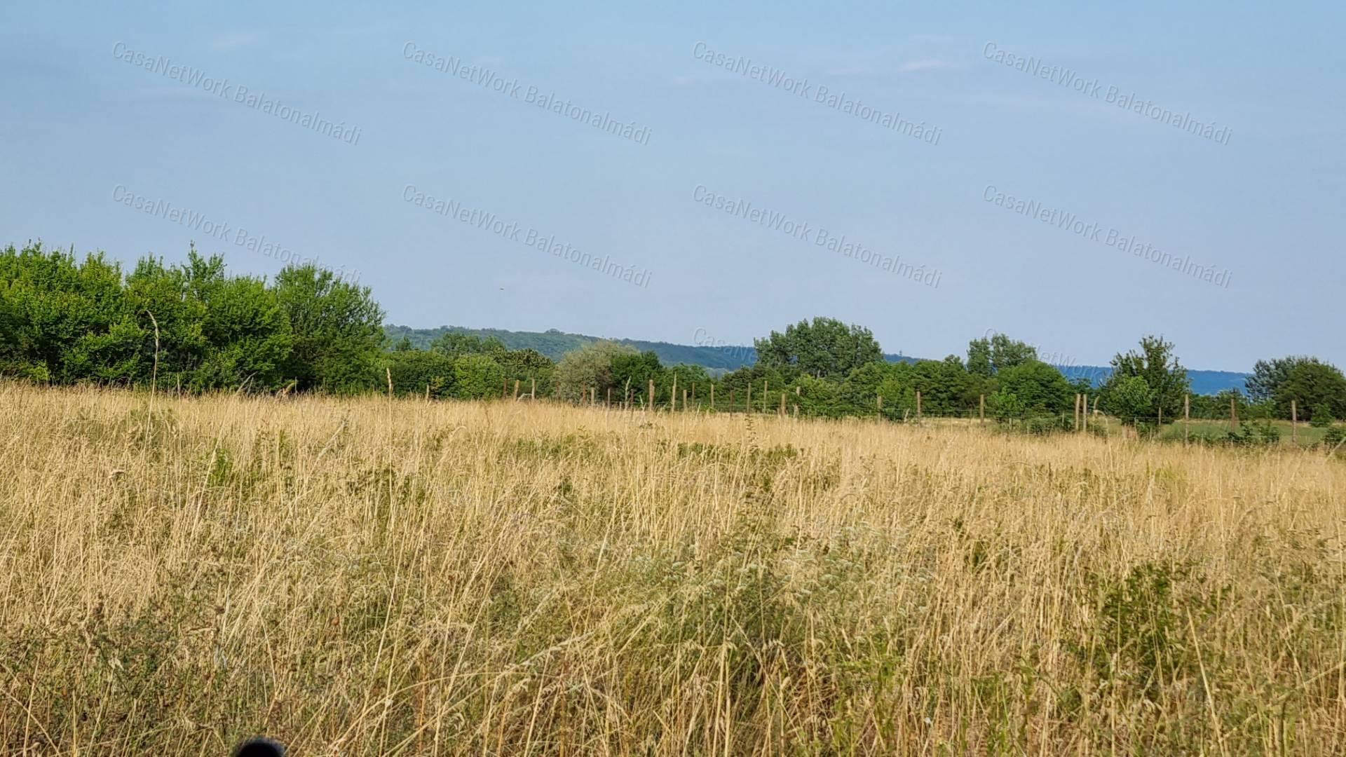 Eladó külterület Balatonalmádiban!