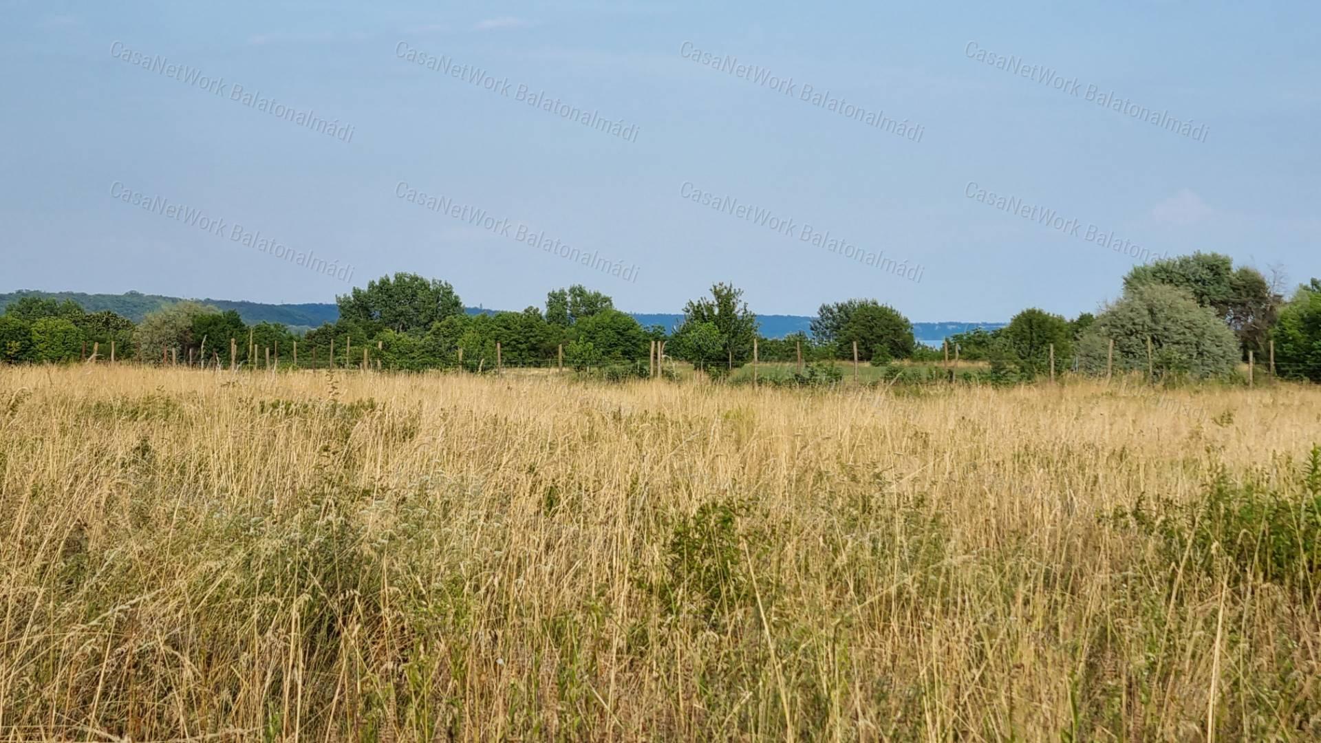 Eladó külterület Balatonalmádiban!