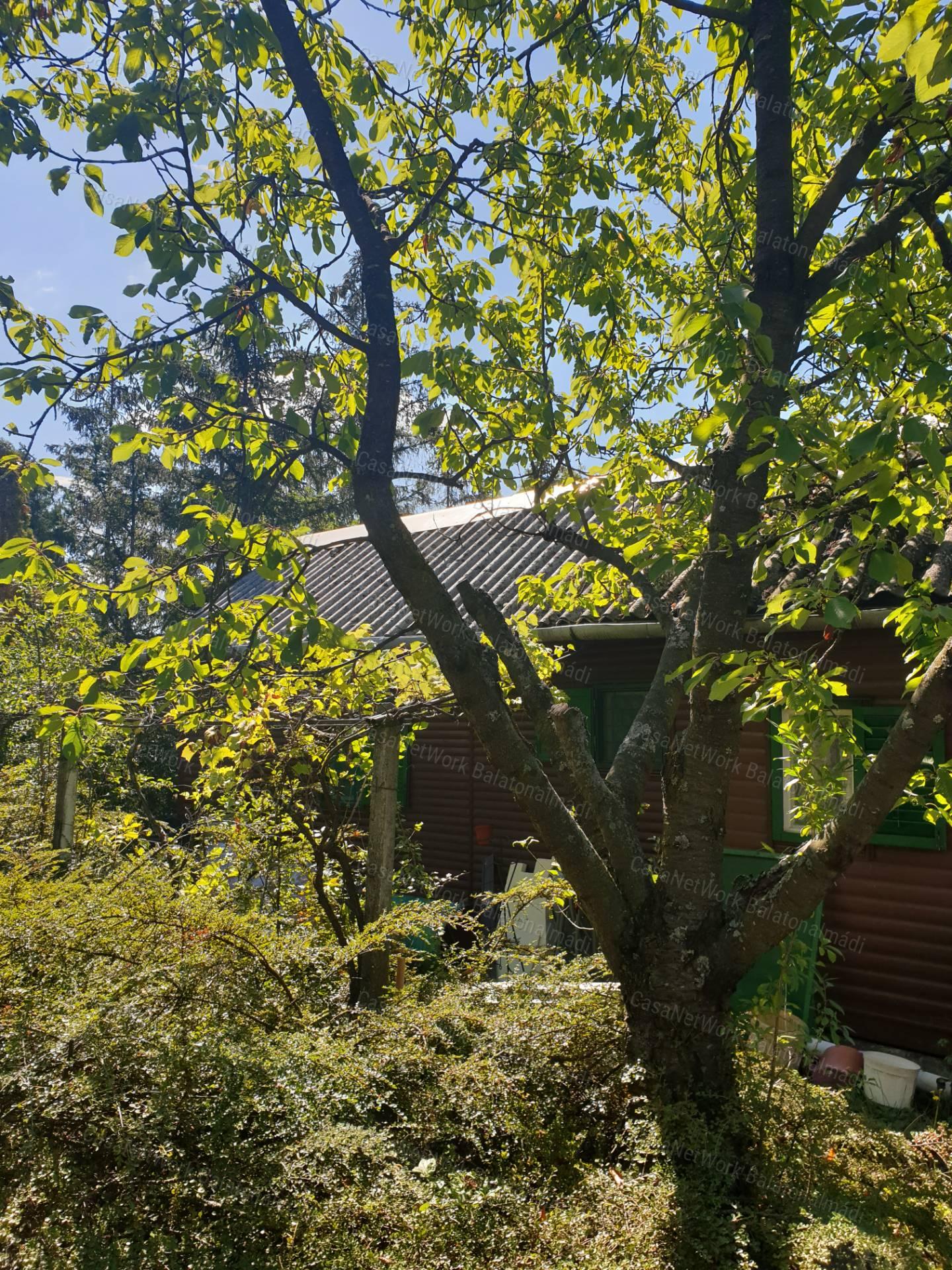 Eladó kicsi nyaraló Balatonkenesén!