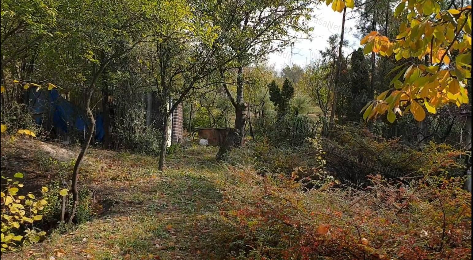 Eladó kicsi nyaraló Balatonkenesén!