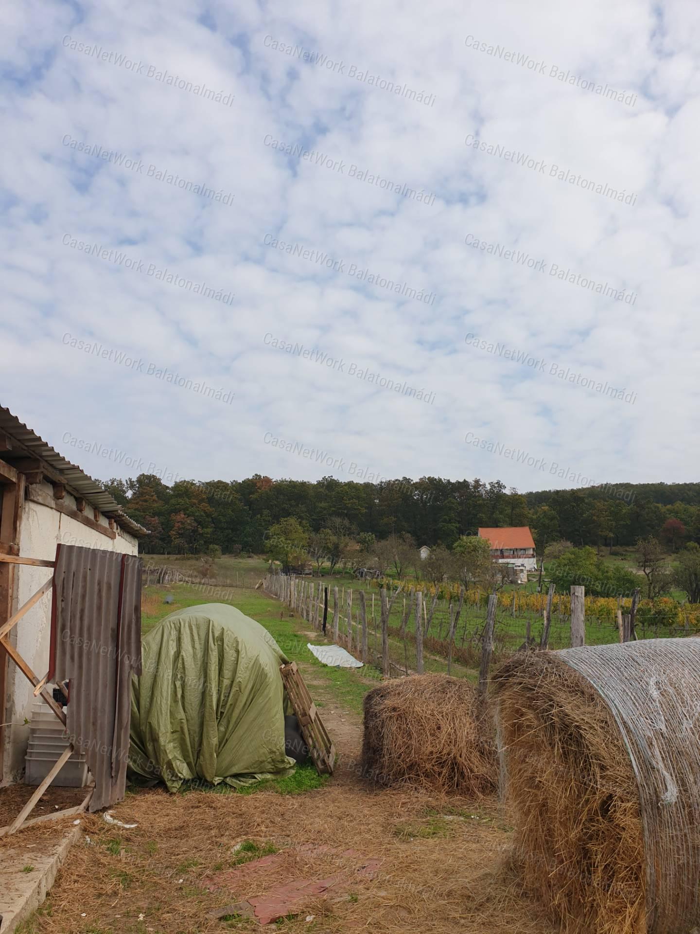 Eladó tájpanorámás gazdasági épület Balatonfüreden!