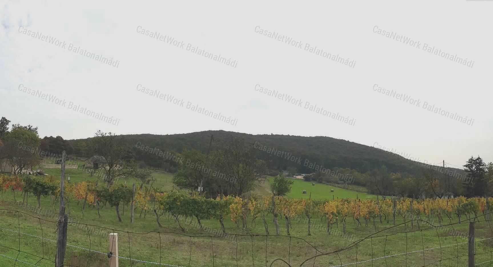 Eladó tájpanorámás gazdasági épület Balatonfüreden!