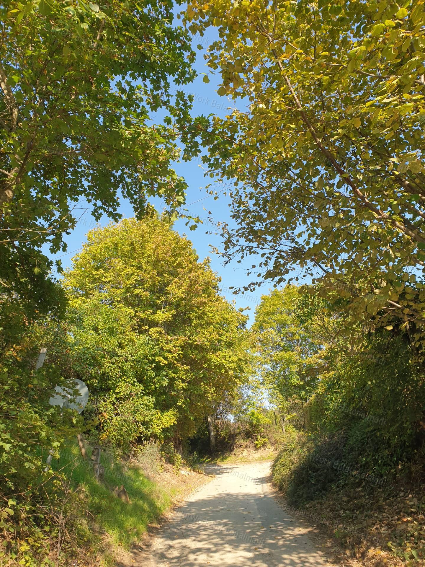 Eladó tájpanorámás gazdasági épület Balatonfüreden!