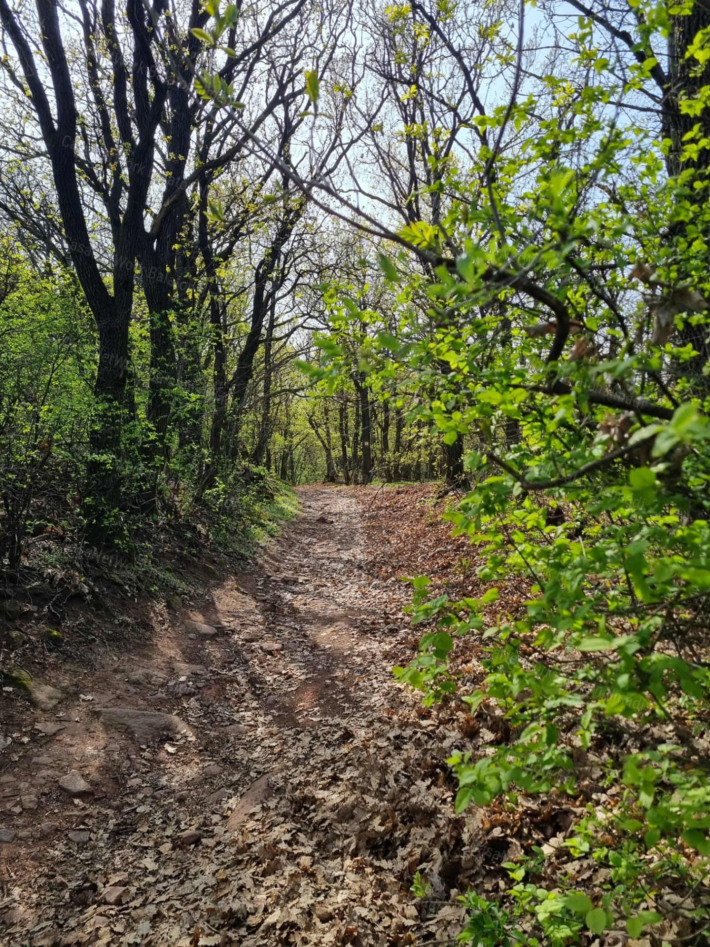 Panorámás építési telek eladó Balatonalmádiban!