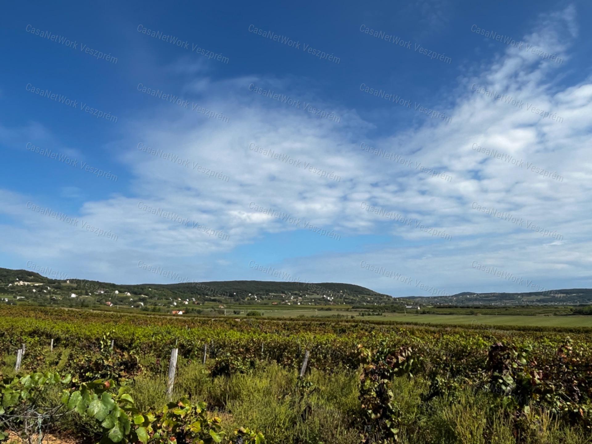 Eladó panorámás szőlőterület Zánkán