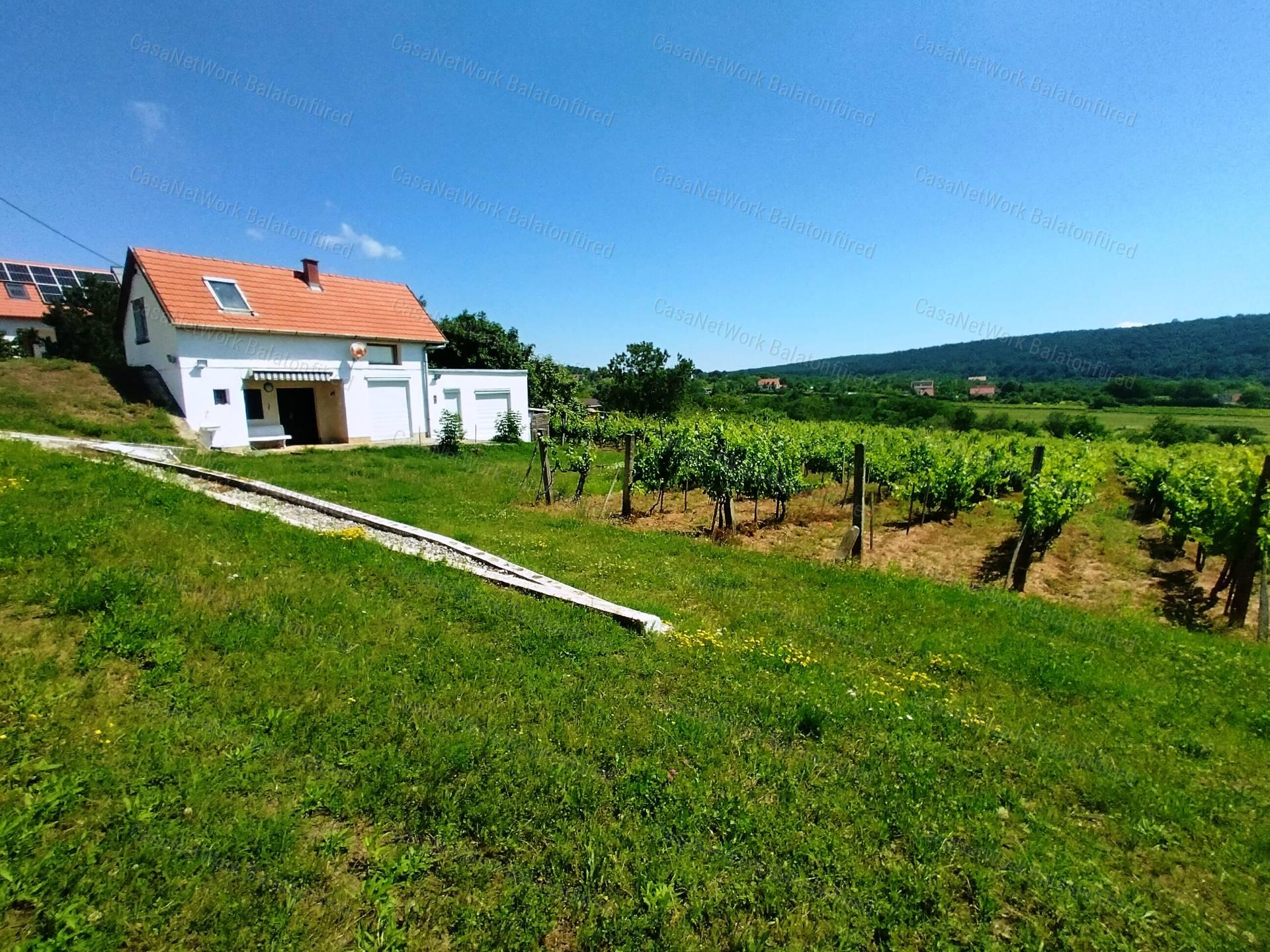Eladó BALATONI PANORÁMÁS szőlőbirtok FELSŐÖRSÖN két épülettel