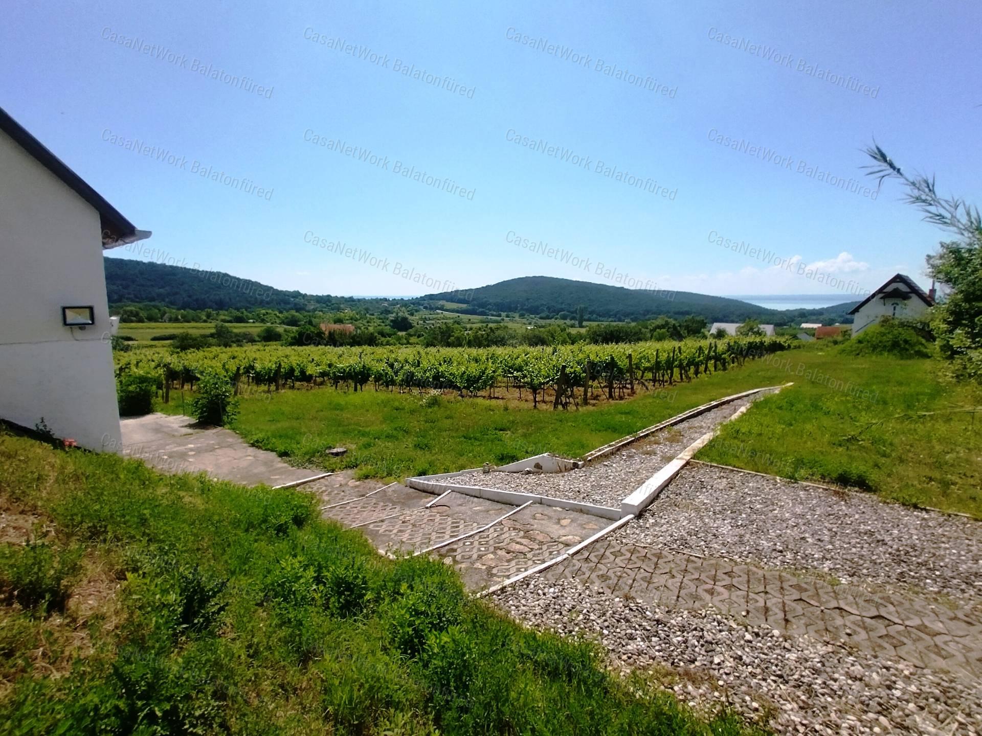 Eladó BALATONI PANORÁMÁS szőlőbirtok FELSŐÖRSÖN két épülettel