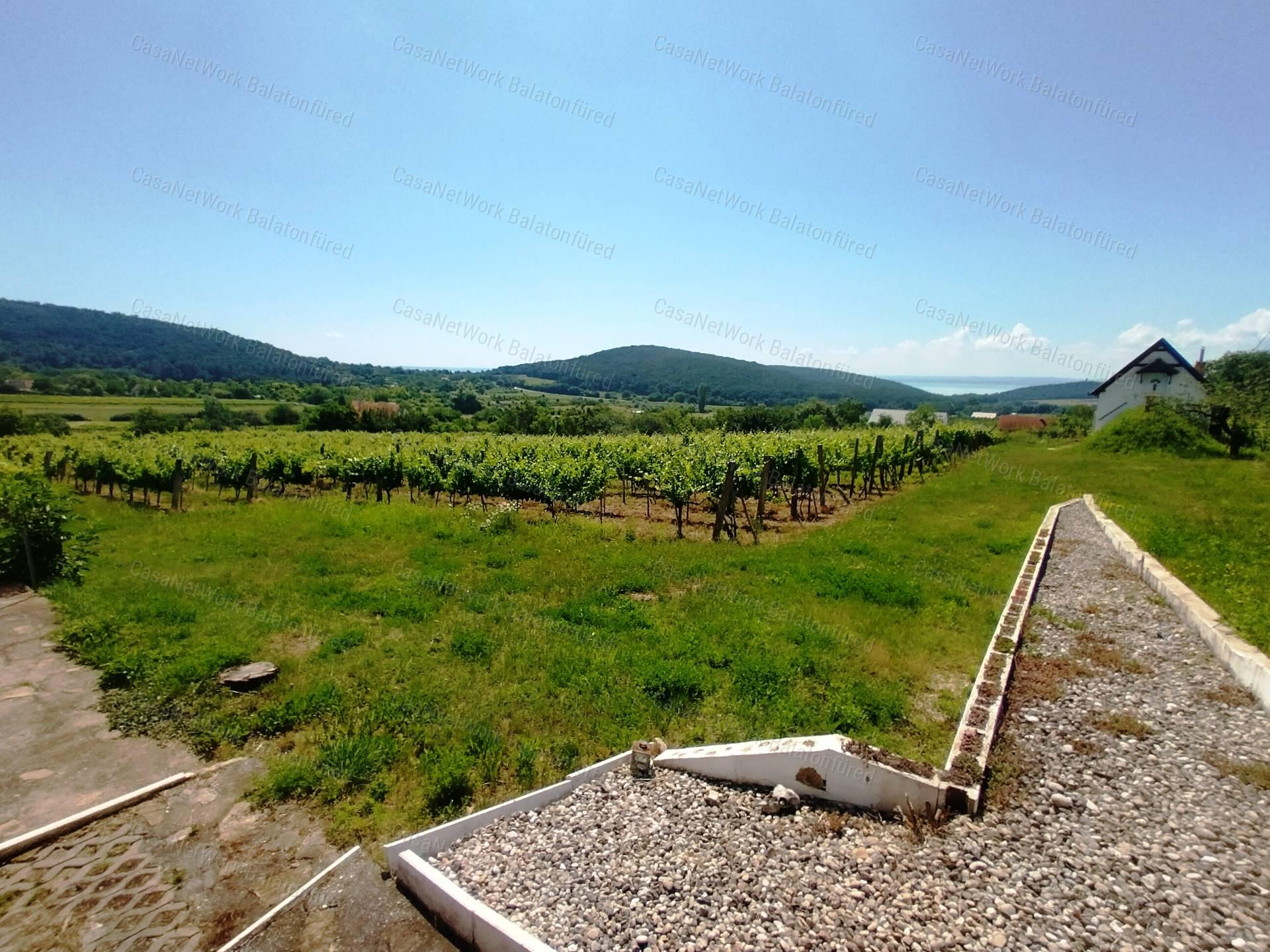 Eladó BALATONI PANORÁMÁS szőlőbirtok FELSŐÖRSÖN két épülettel