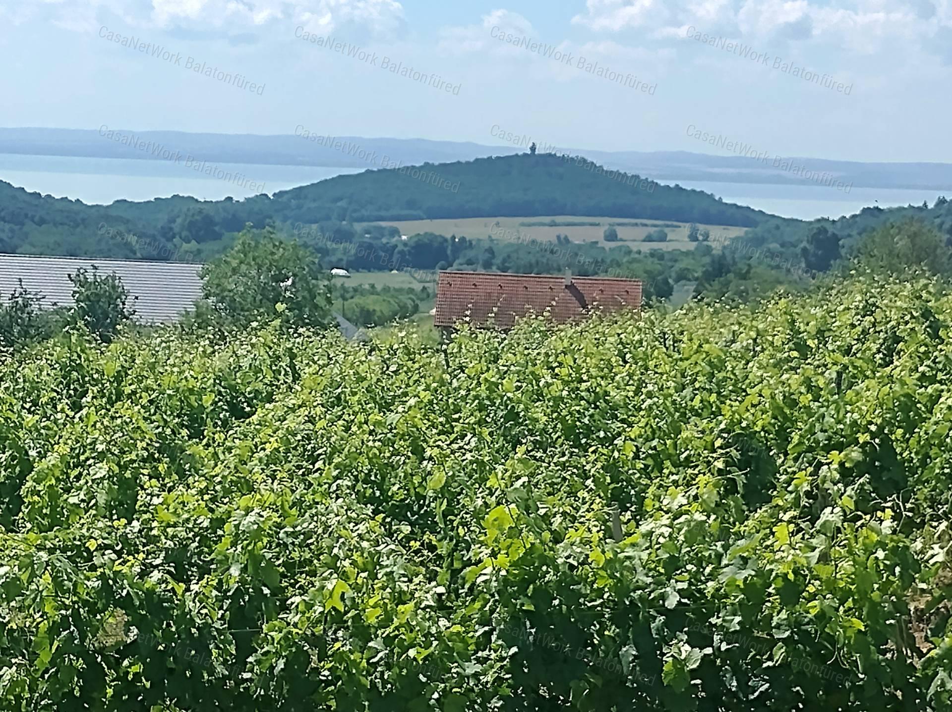 Eladó BALATONI PANORÁMÁS szőlőbirtok FELSŐÖRSÖN két épülettel