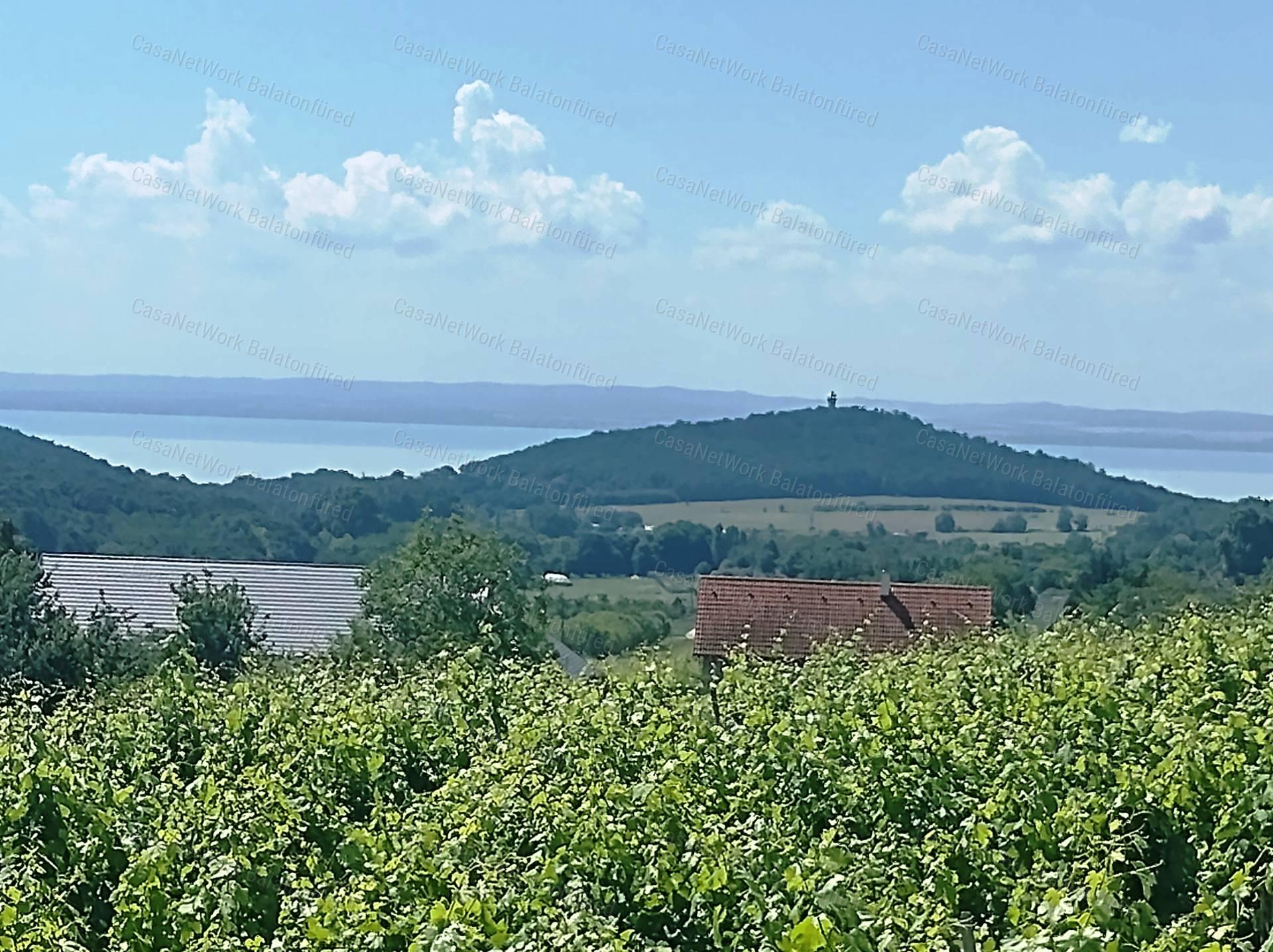 Eladó BALATONI PANORÁMÁS szőlőbirtok FELSŐÖRSÖN két épülettel