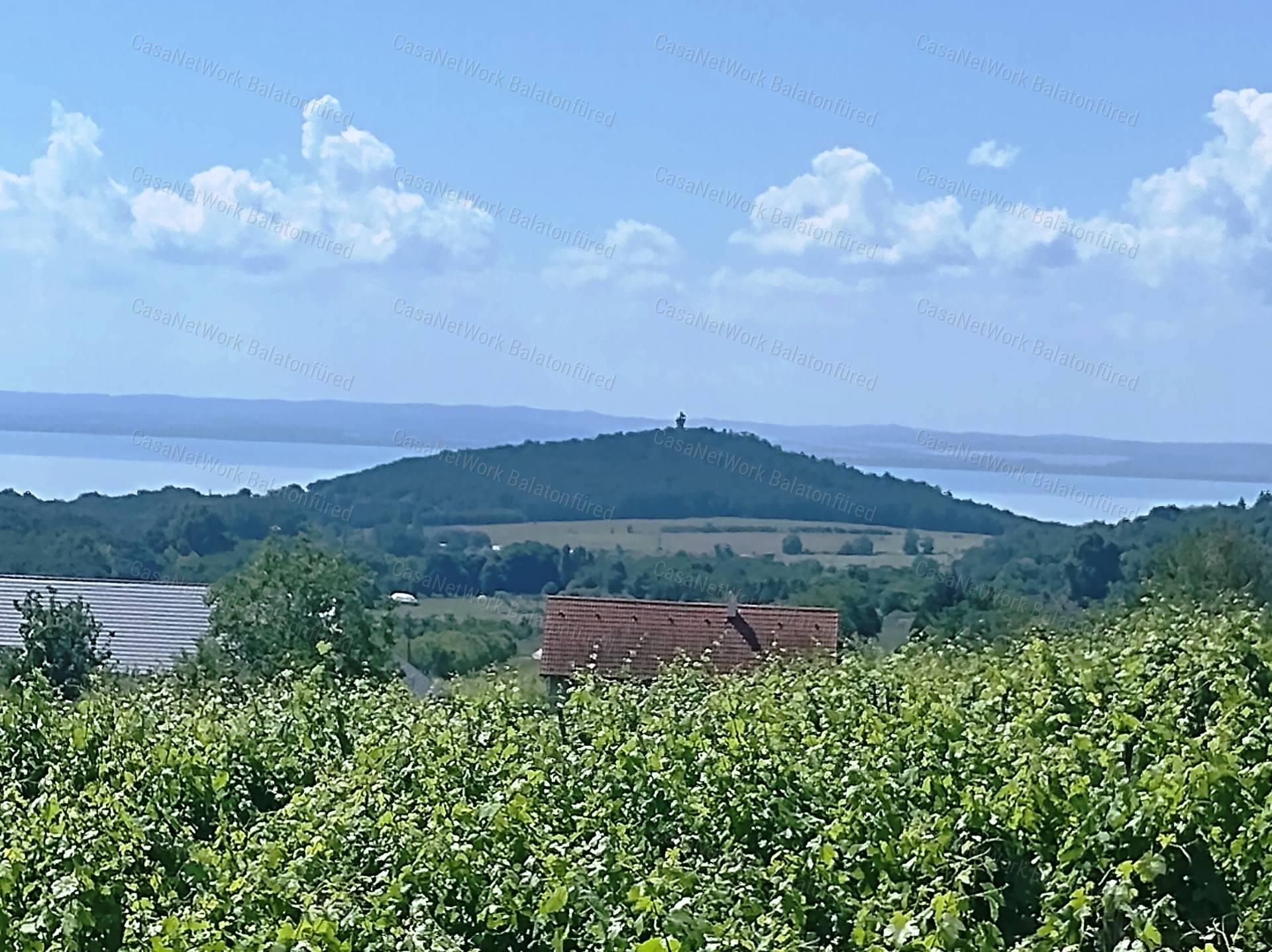Eladó BALATONI PANORÁMÁS szőlőbirtok FELSŐÖRSÖN két épülettel