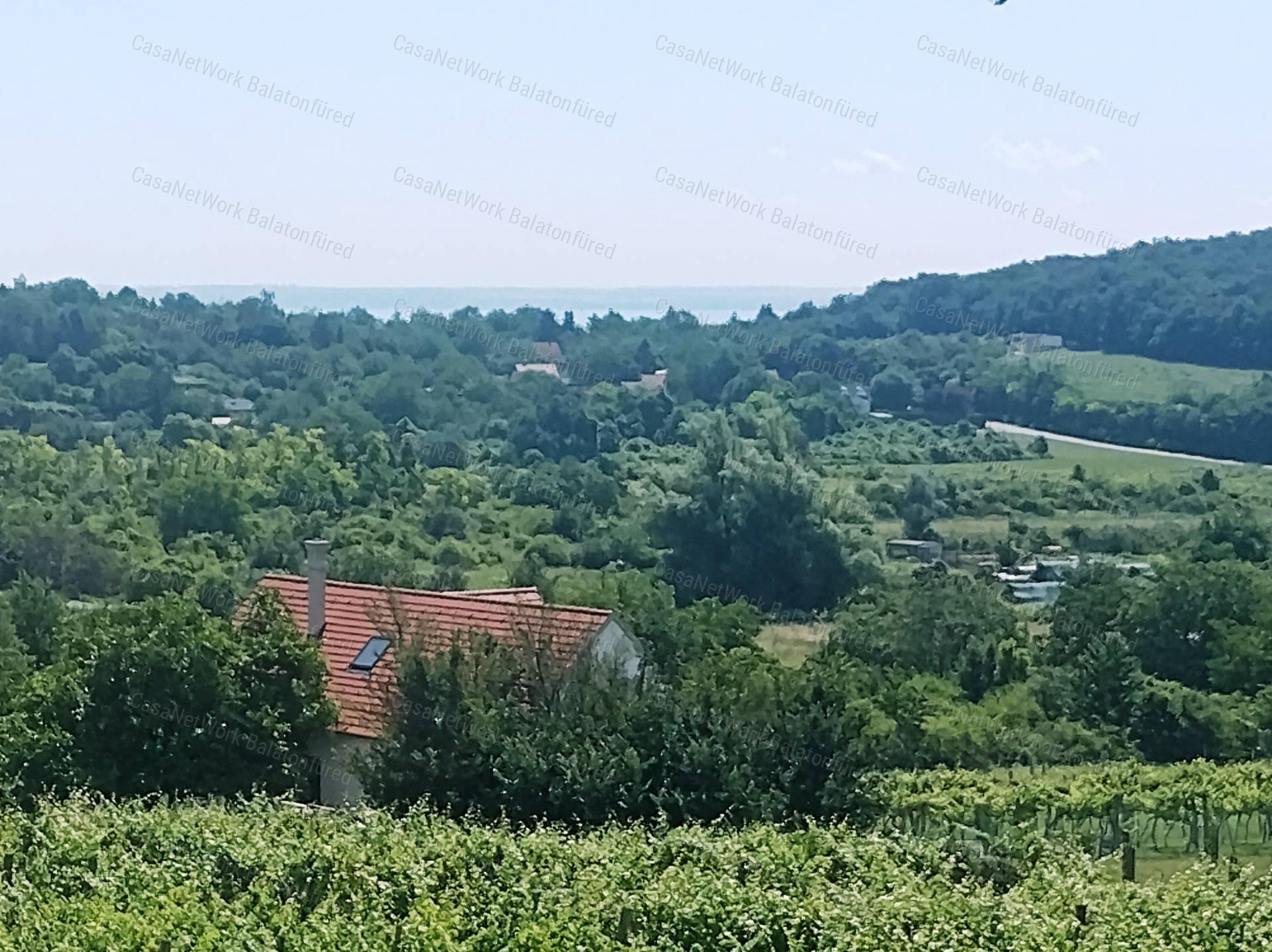 Eladó BALATONI PANORÁMÁS szőlőbirtok FELSŐÖRSÖN két épülettel