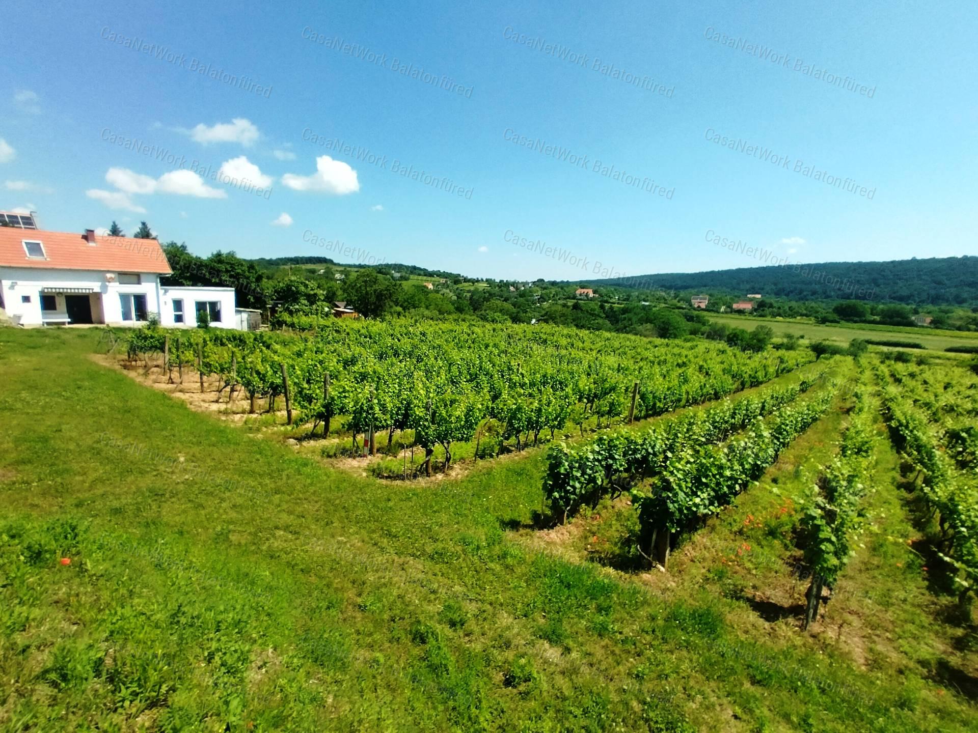 Eladó BALATONI PANORÁMÁS szőlőbirtok FELSŐÖRSÖN két épülettel