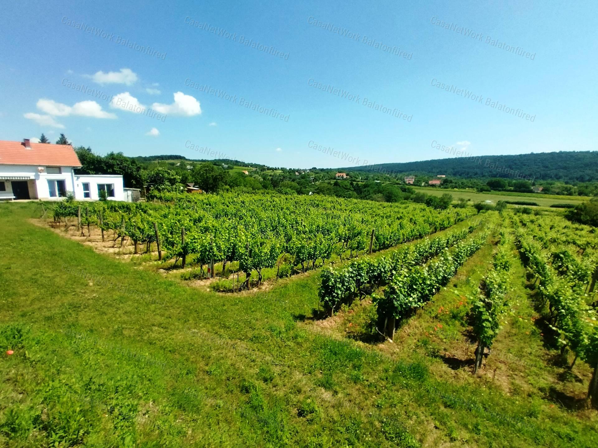 Eladó BALATONI PANORÁMÁS szőlőbirtok FELSŐÖRSÖN két épülettel