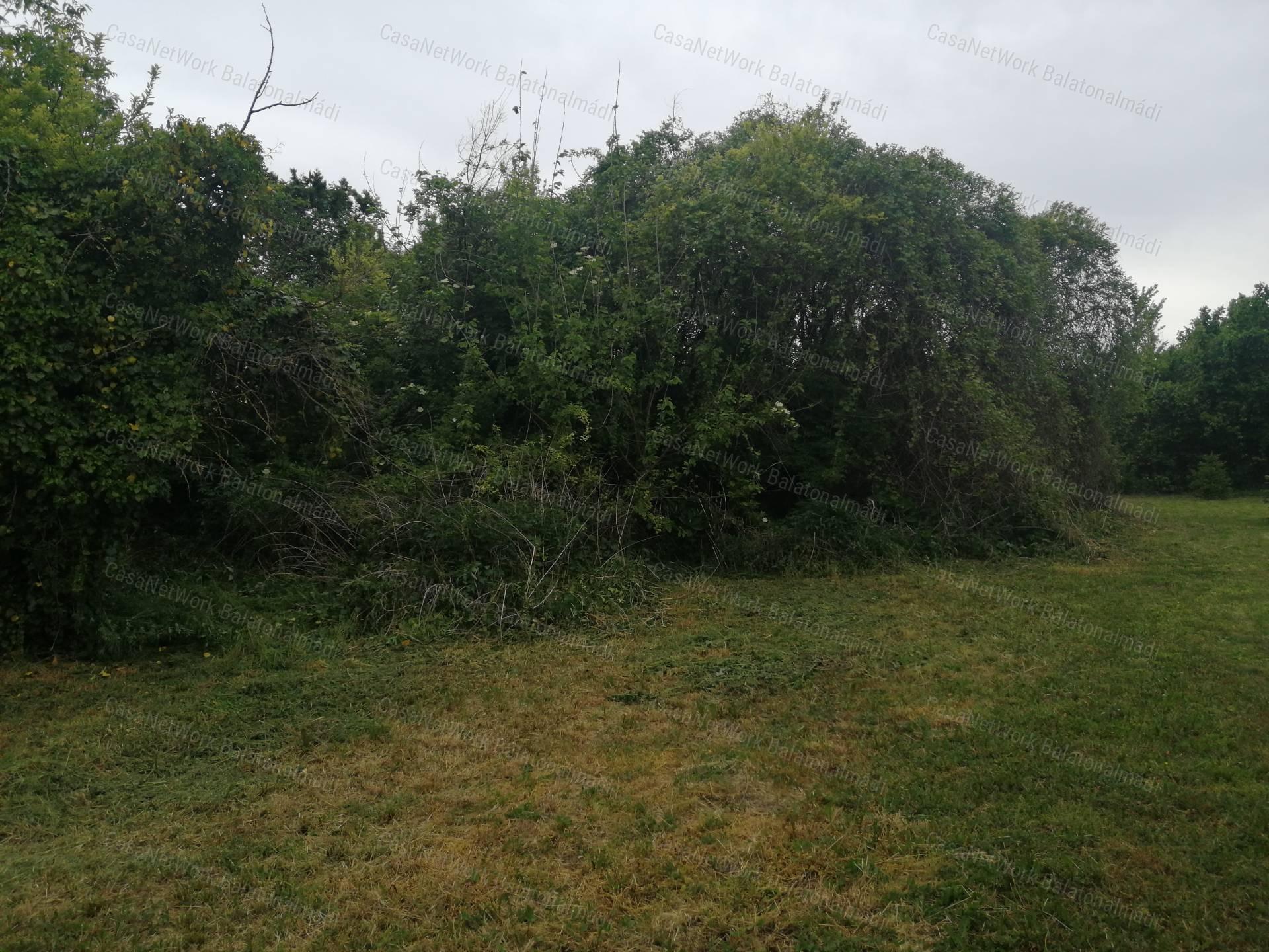 Balatonfőkajári belterületi 775 m2-es építési telek eladó