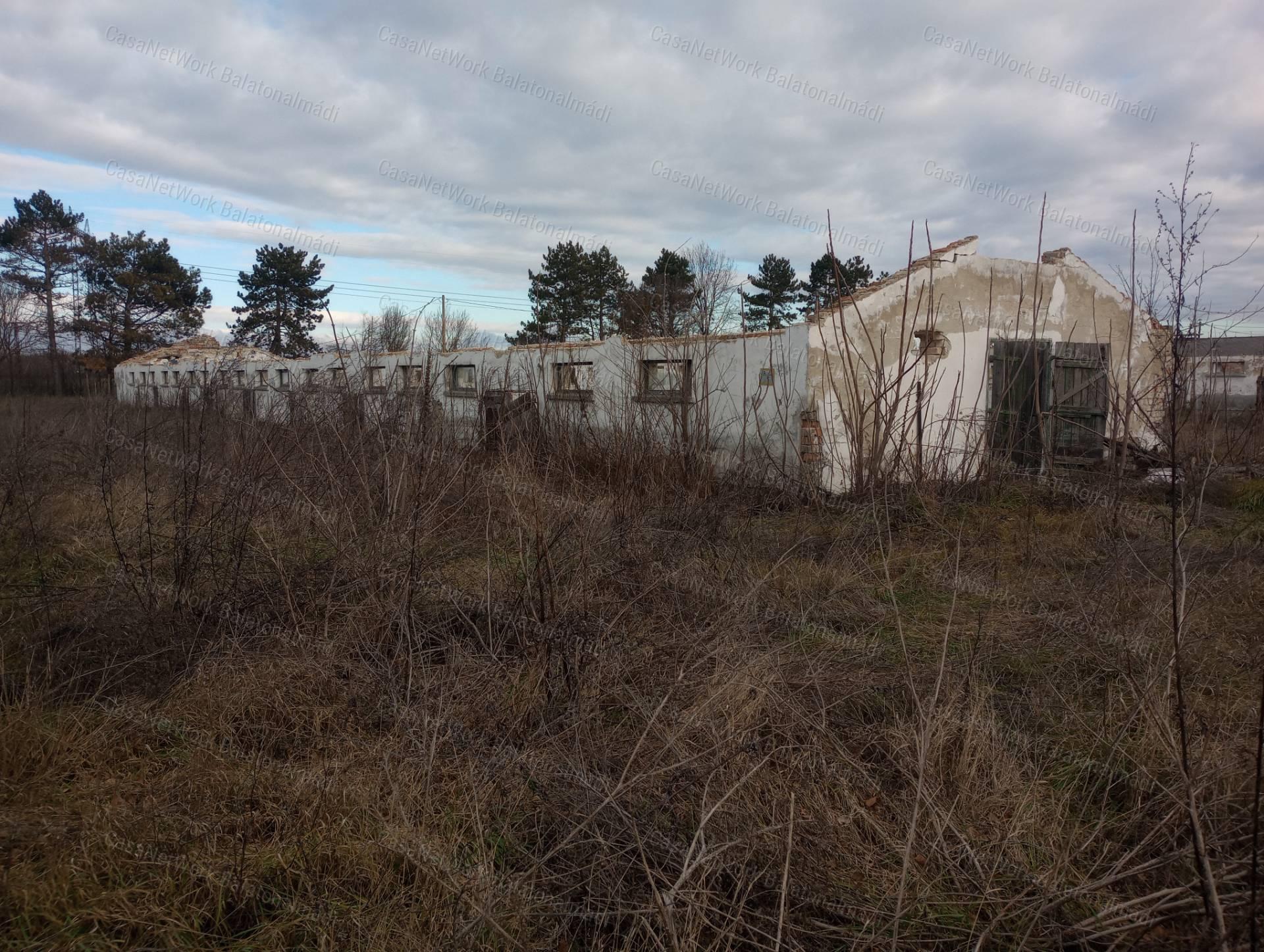 Eladó Papkeszin 61660 m2 ingatlan kereskedelmi, szolgáltató gazdasági övezetben