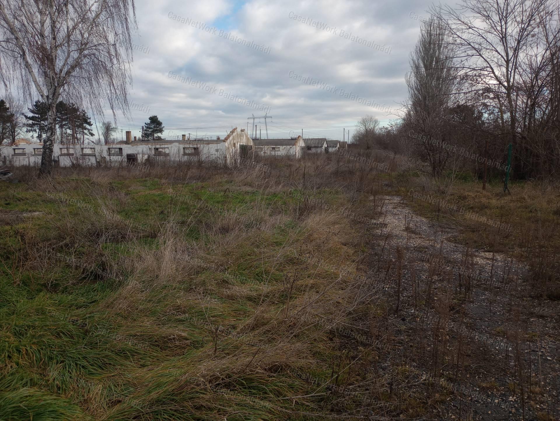 Eladó Papkeszin 61660 m2 ingatlan kereskedelmi, szolgáltató gazdasági övezetben