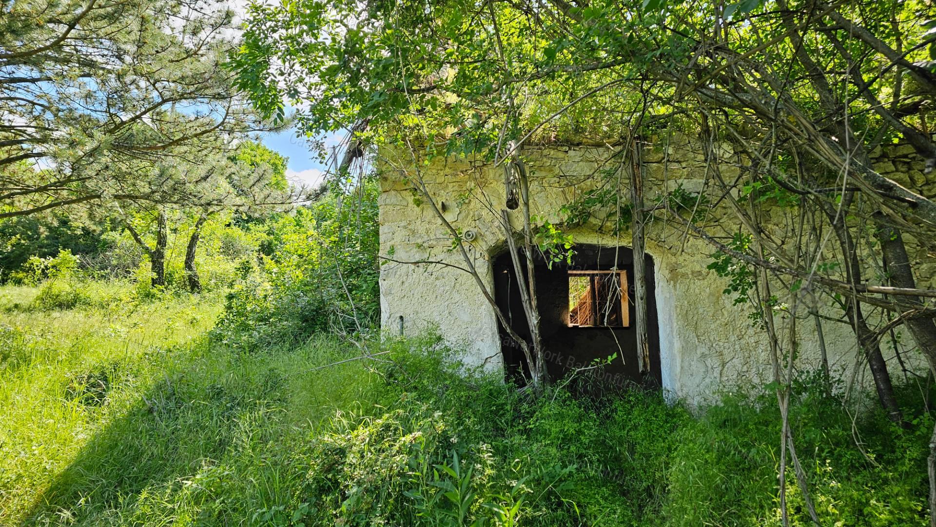Balaton-felvidéken 6,3 ha birtok, 2 db romos épülettel