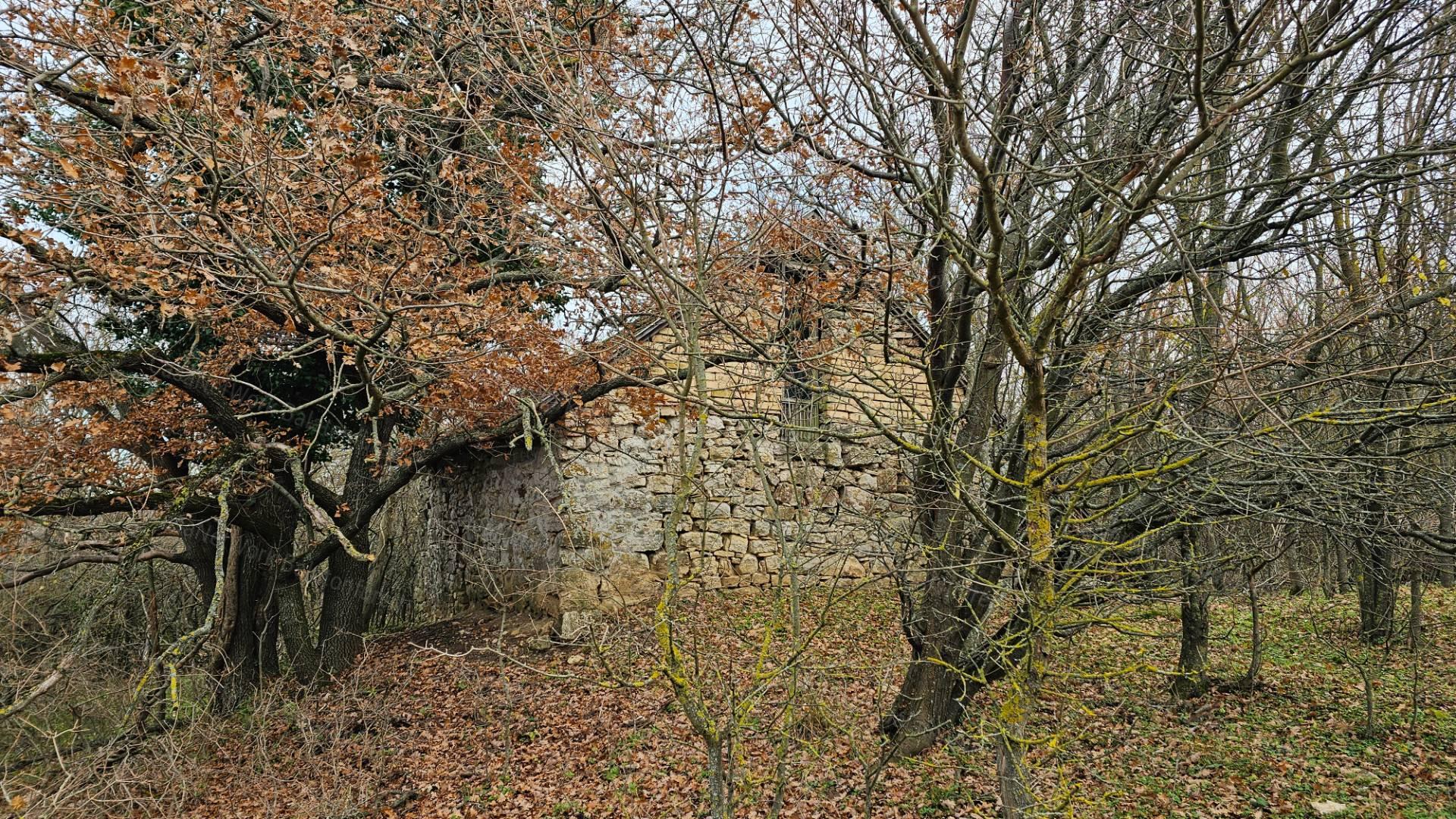Balaton-felvidéken 6,3 ha birtok, 2 db romos épülettel