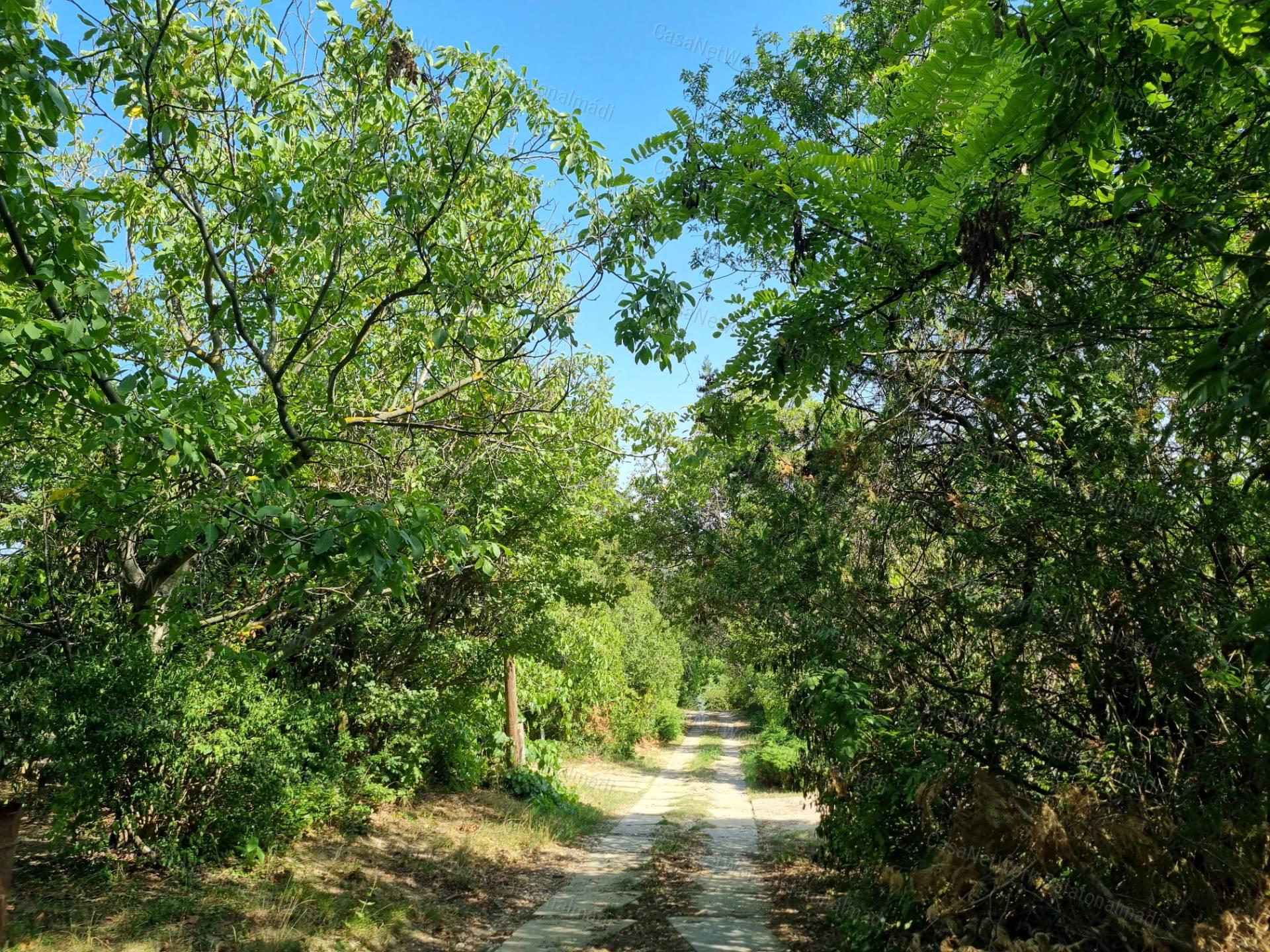 Panorámás zártkert eladó Felsőörsön!