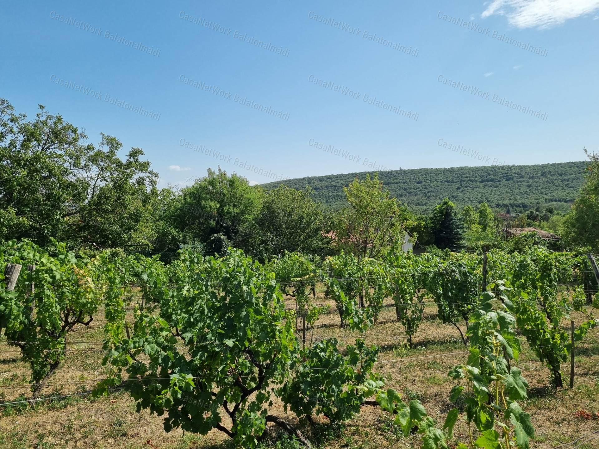 Panorámás zártkert eladó Felsőörsön!