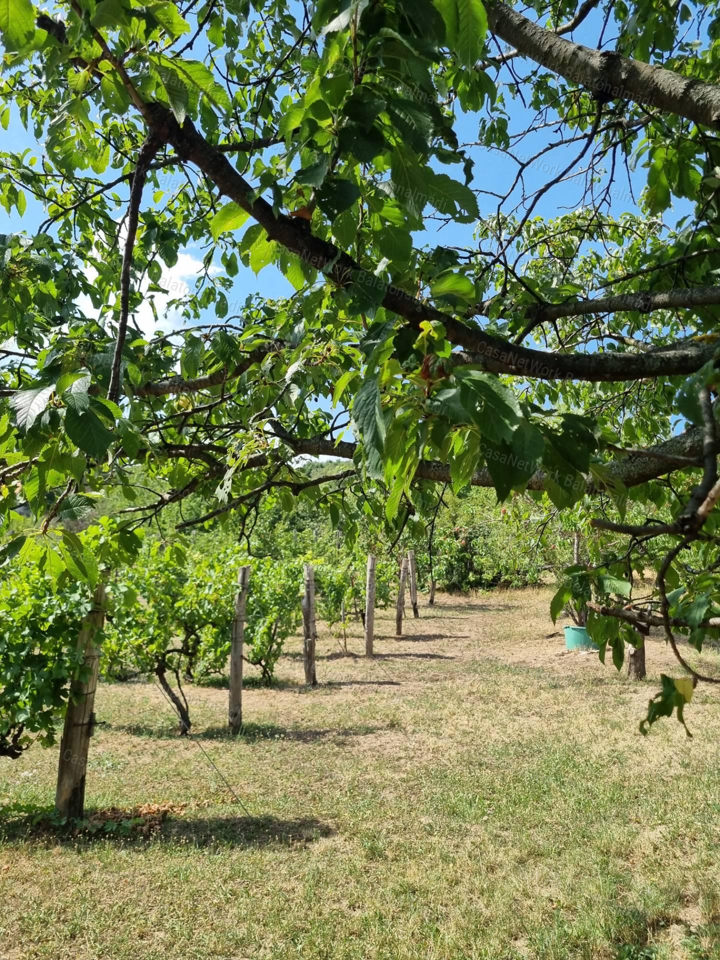 Panorámás zártkert eladó Felsőörsön!