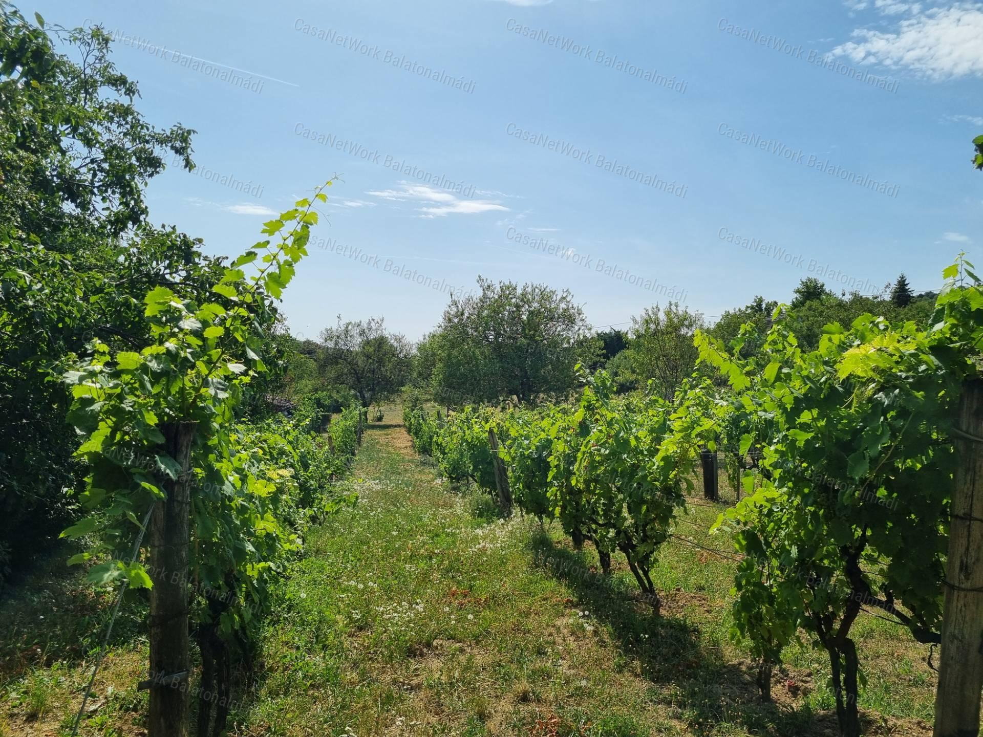 Panorámás zártkert eladó Felsőörsön!