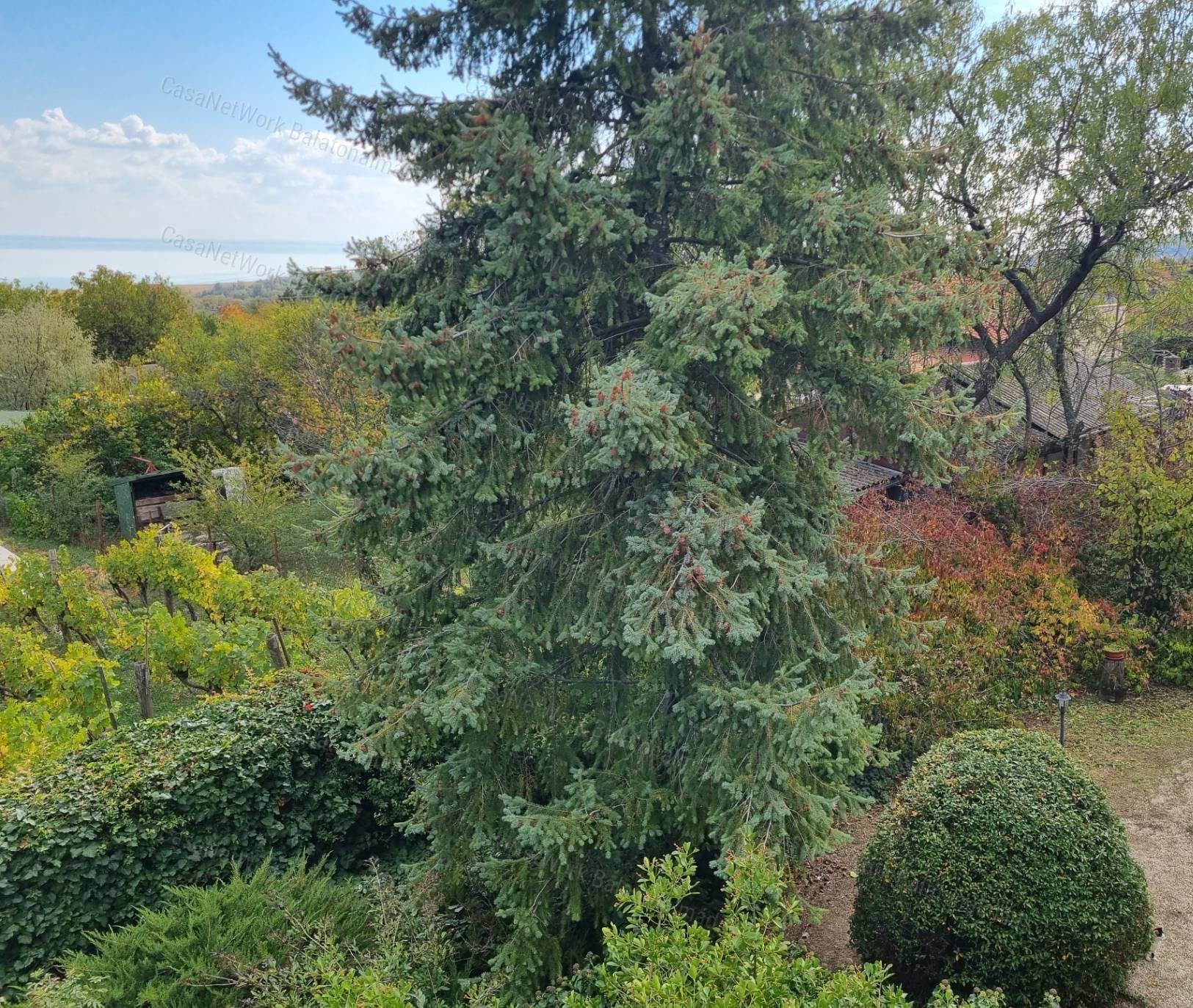 Eladó nyaraló balatoni panorámával, intim kerttel Balatonalmádiban!