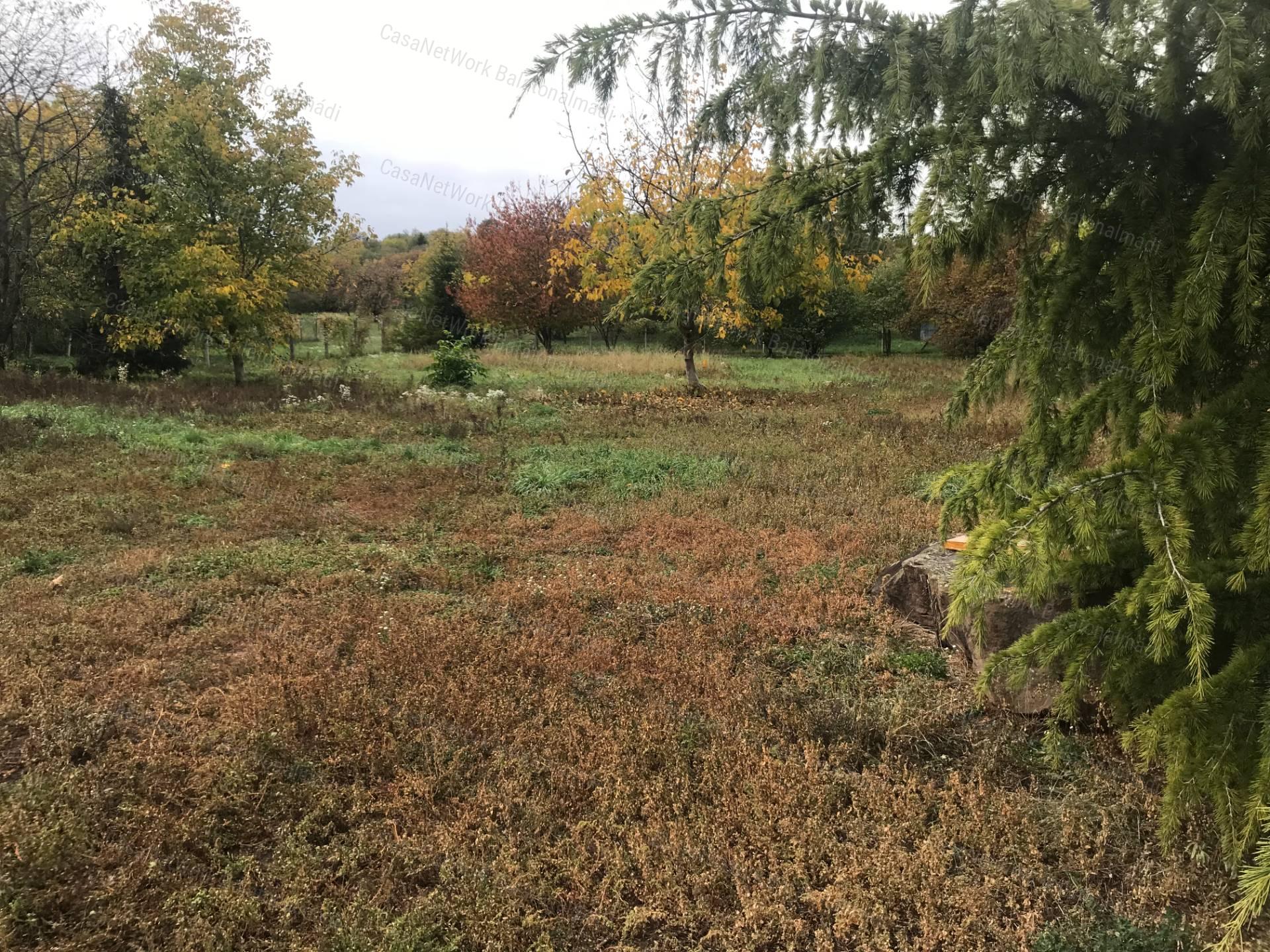 Balatonalmádi belterületi építési telek, teljes közművel, 1539 m²-en
