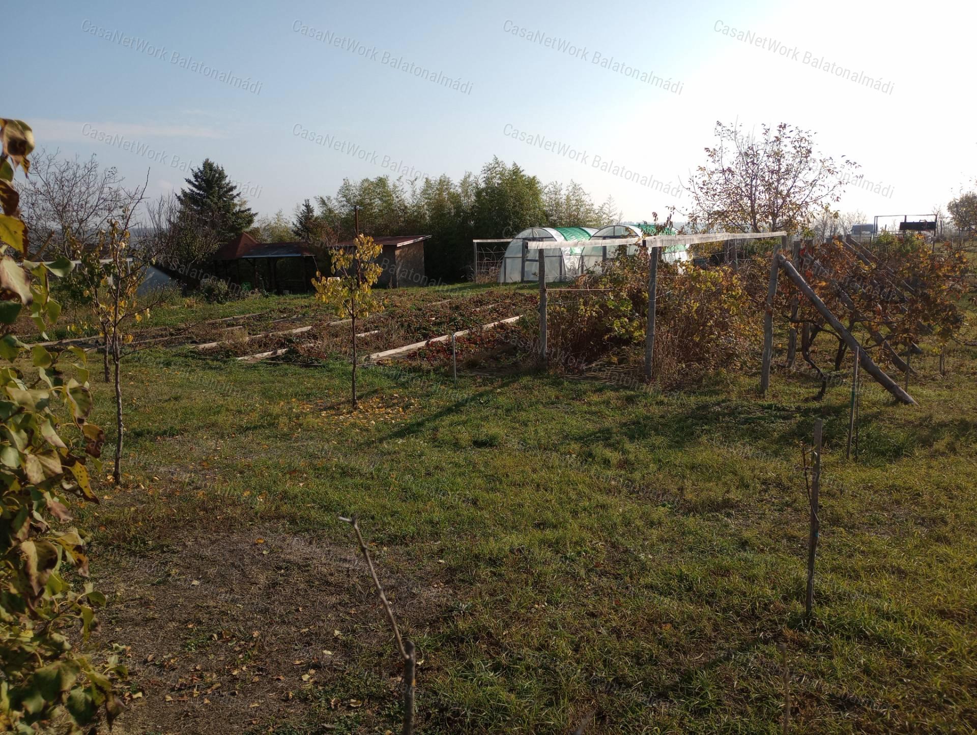Balatonkenesén külterületi telek eladó