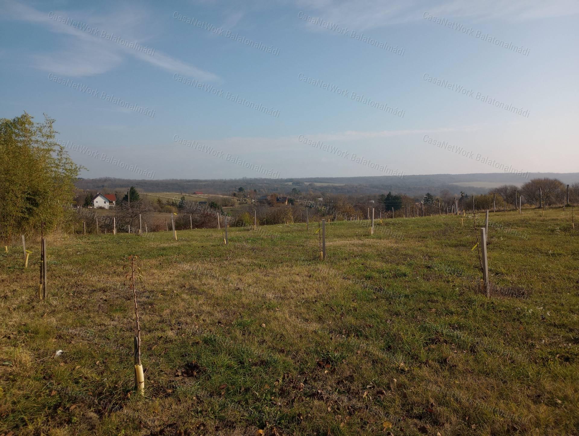Balatonkenesén külterületi telek eladó