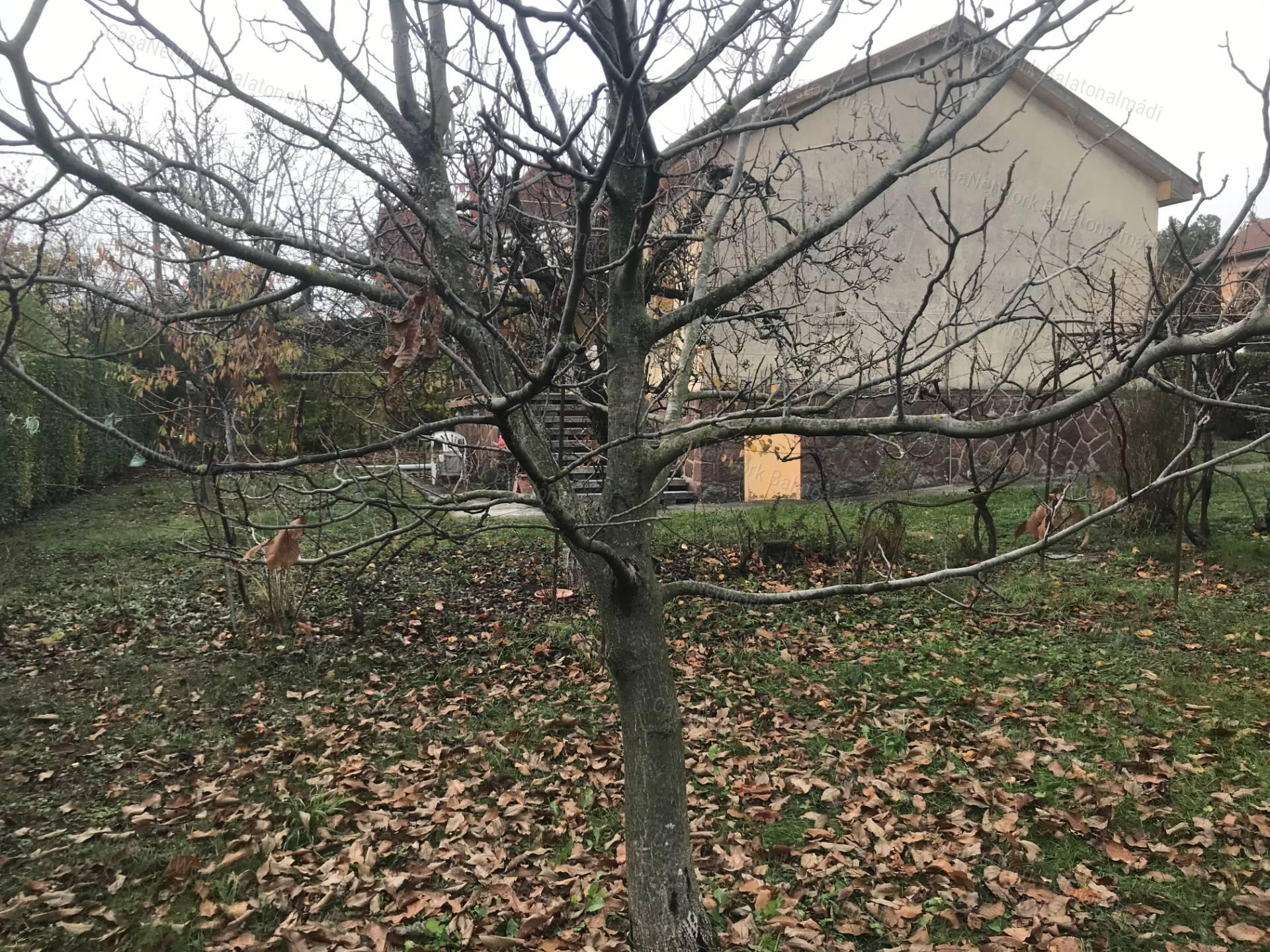 Eladó összközműves belterületi nyaraló Alsóörsön