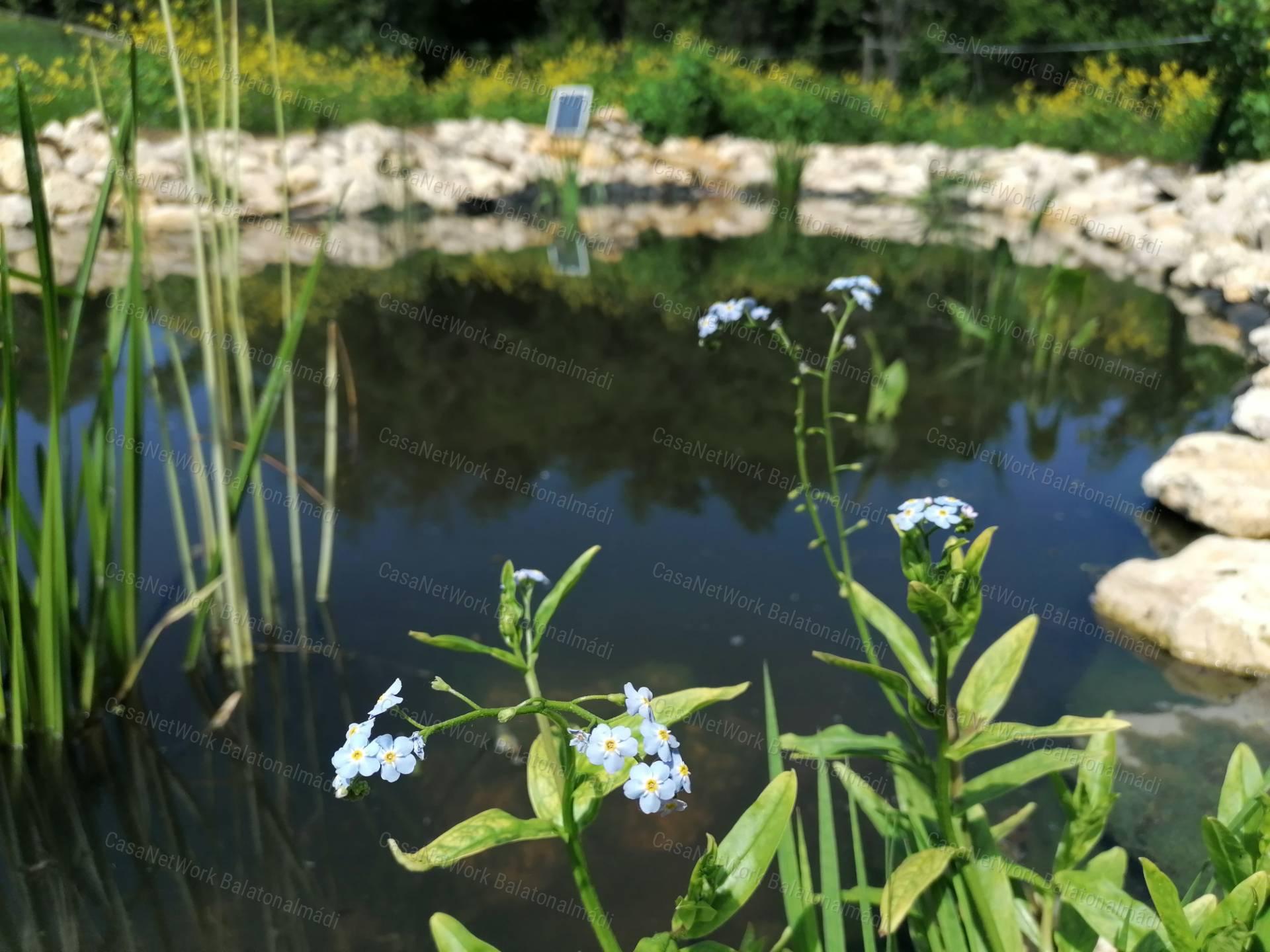 Birtok a Balaton-felvidéki Nemzeti Park tetején lélegzetelállító panorámával