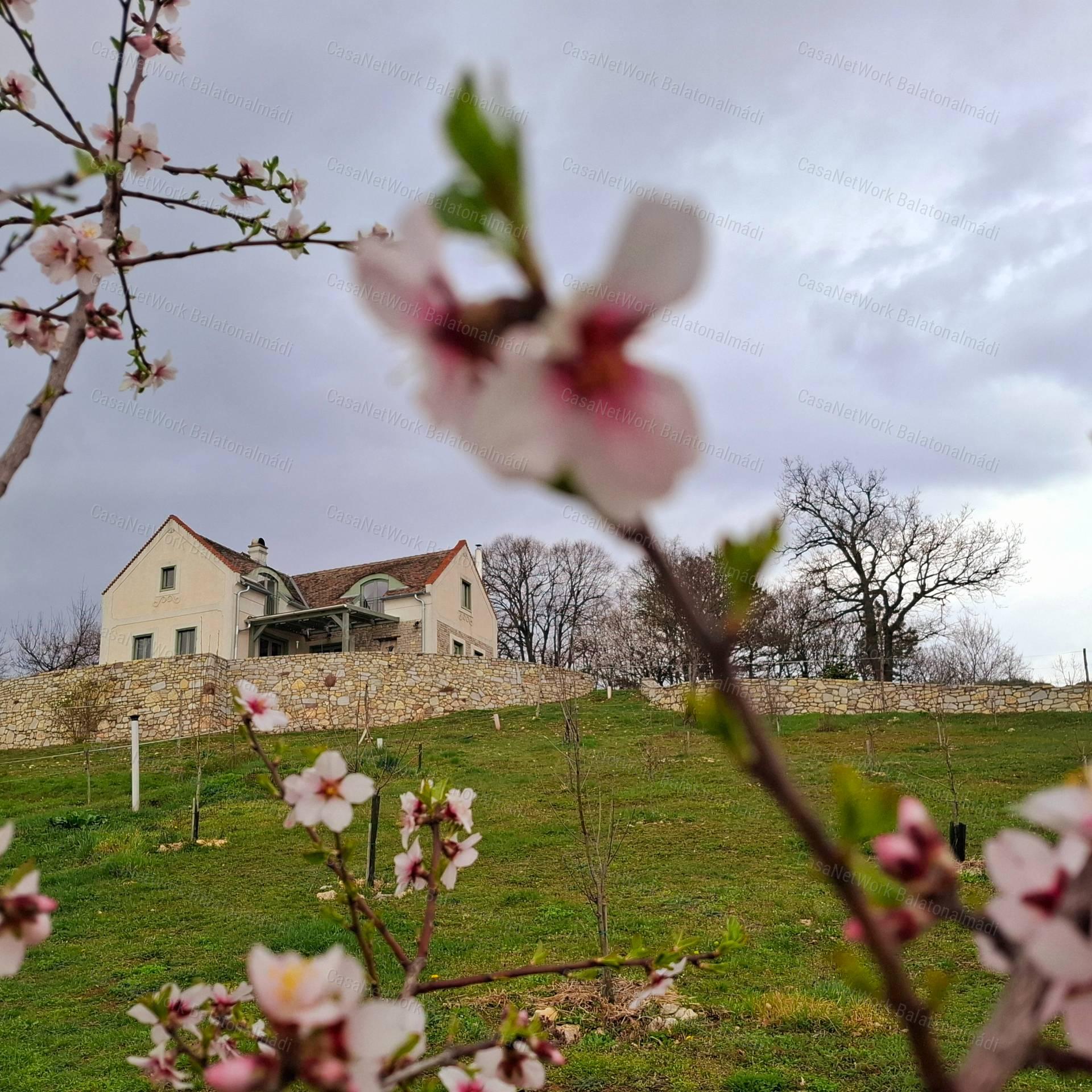 Birtok a Balaton-felvidéki Nemzeti Park tetején lélegzetelállító panorámával