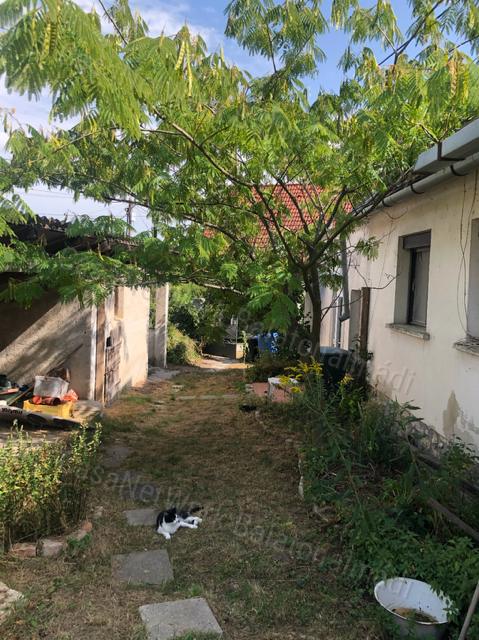 Eladó családi ház és magánszállás Balatonudvariban!