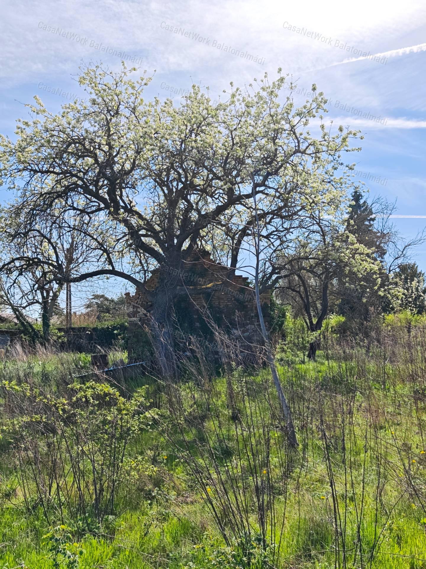Balatoni panorámás zártkert eladó Balatonalmádiban