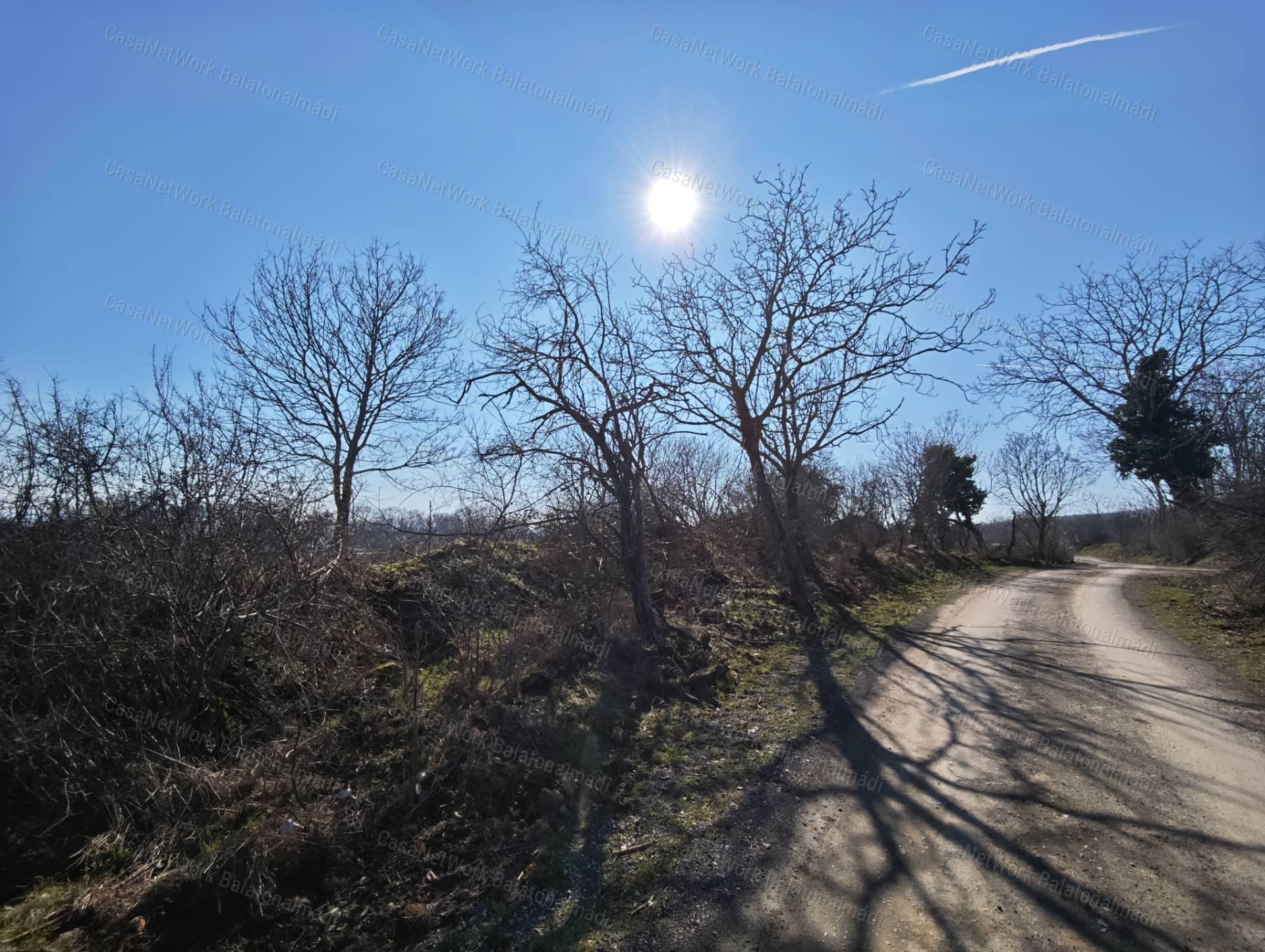 Balatoni panorámás mezőgazdasági terület eladó Balatonszepezden