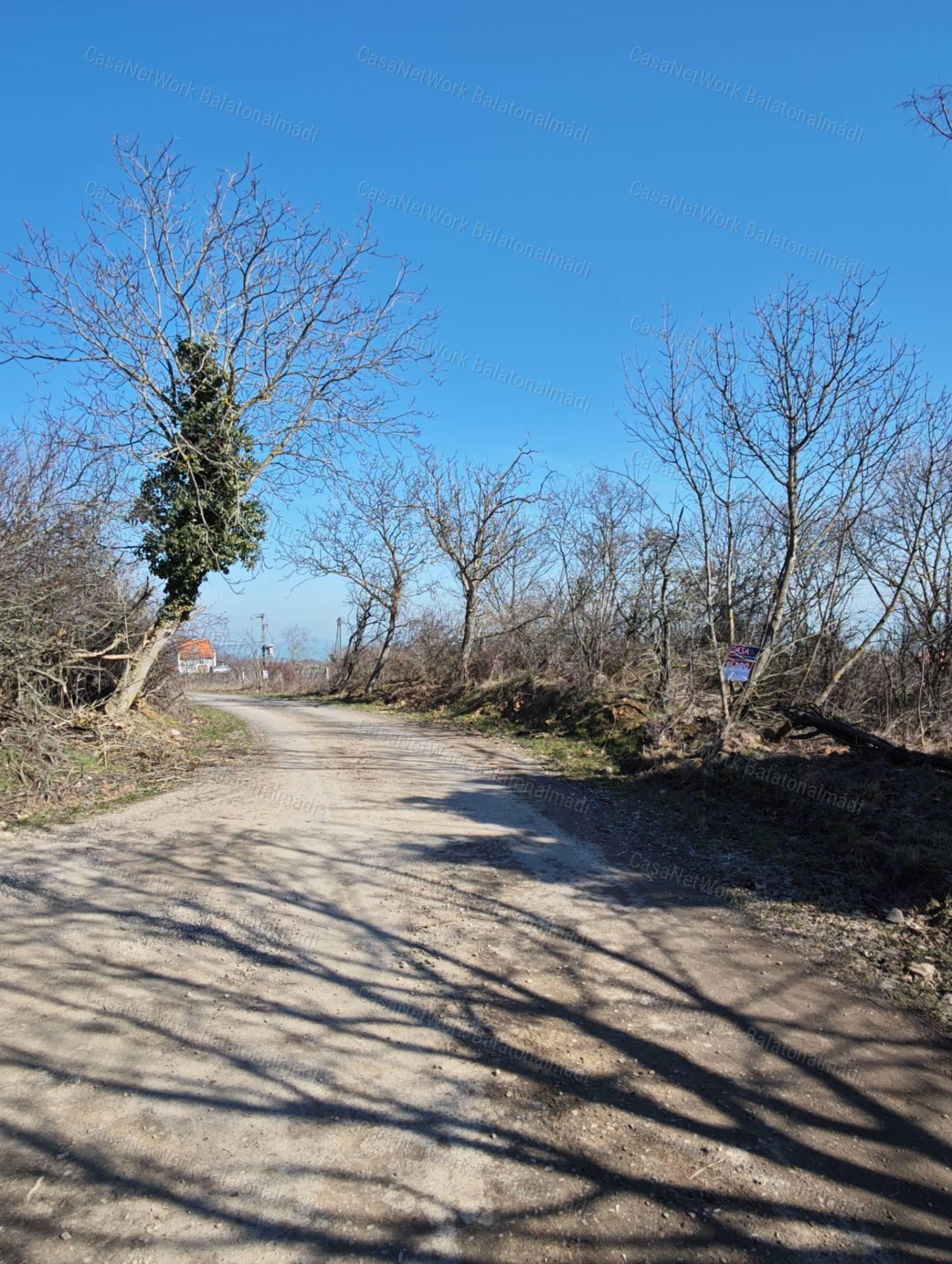 Balatoni panorámás mezőgazdasági terület eladó Balatonszepezden