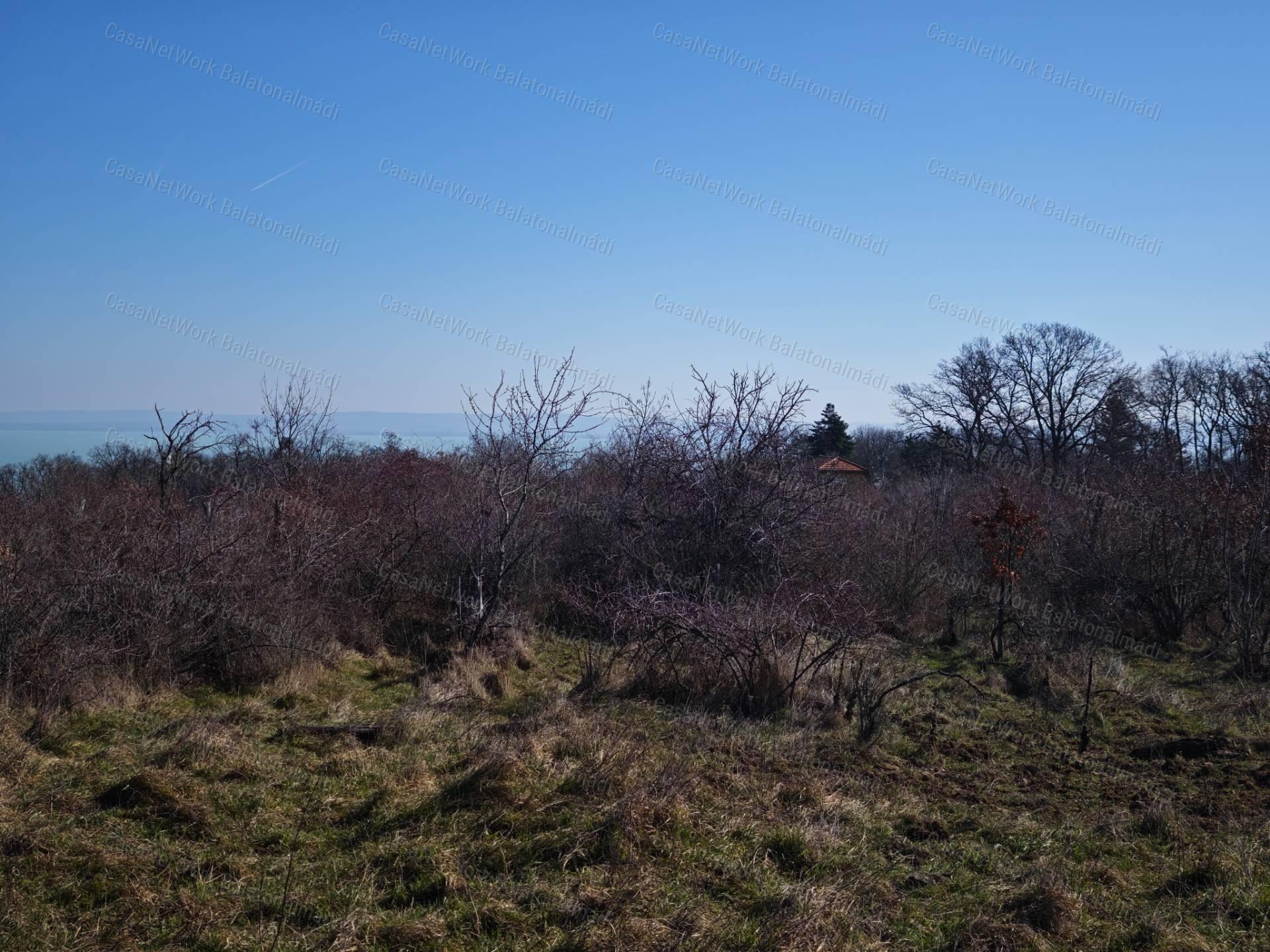Balatoni panorámás mezőgazdasági terület eladó Balatonszepezden