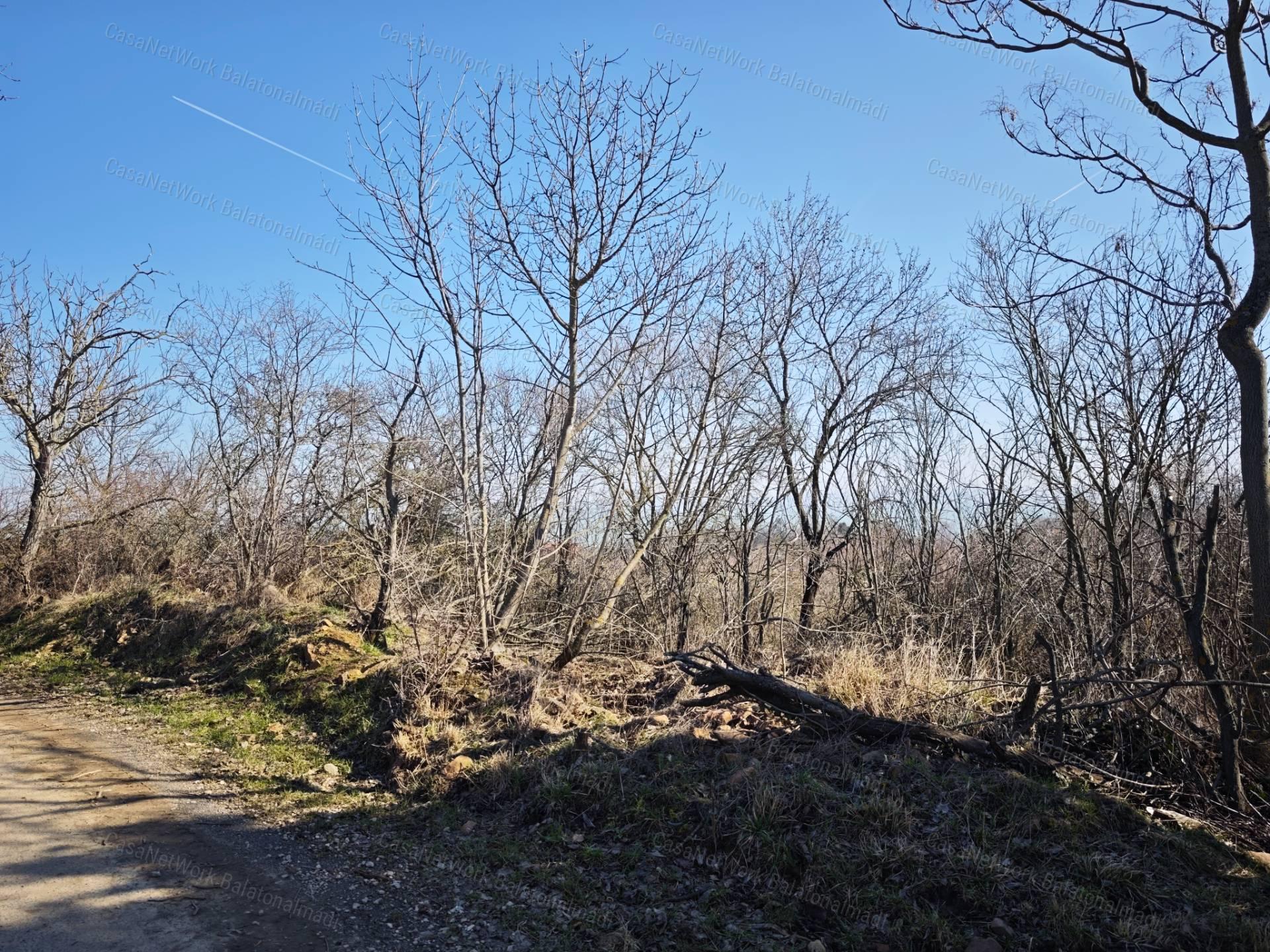 Balatoni panorámás mezőgazdasági terület eladó Balatonszepezden
