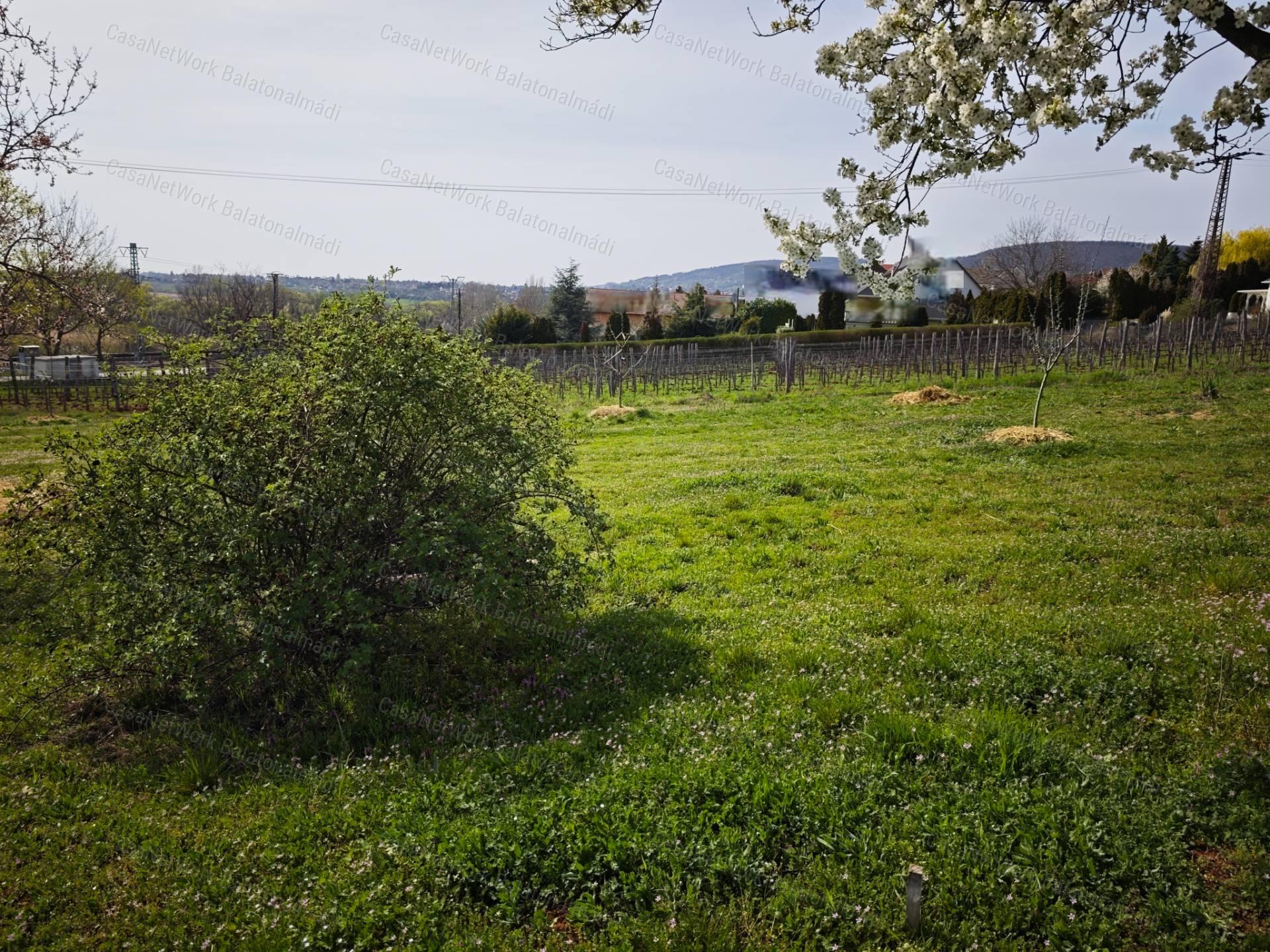 Eladó építési telek Csopakon