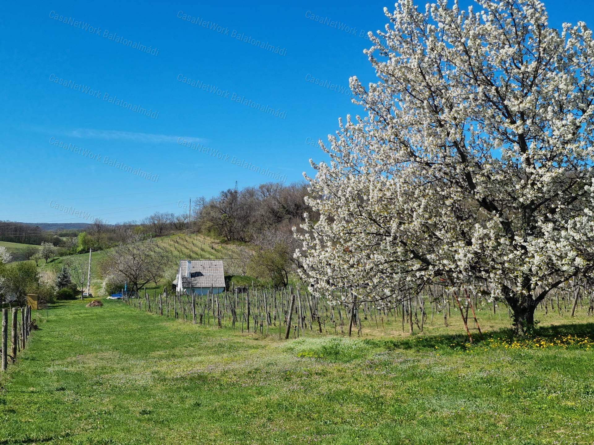 Eladó nyaraló békés tájpanorámával Balatonszőlősön!
