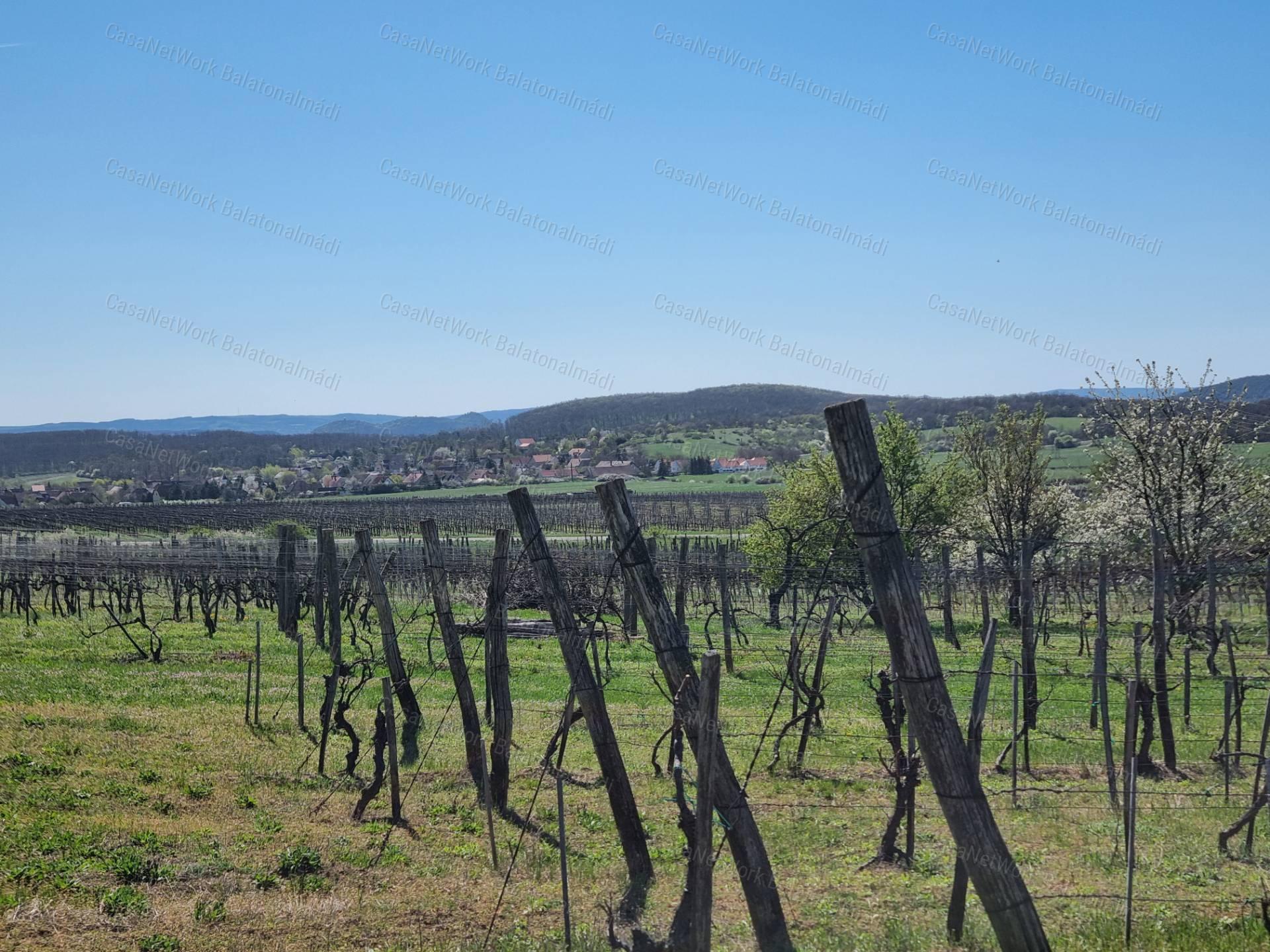 Eladó nyaraló békés tájpanorámával Balatonszőlősön!