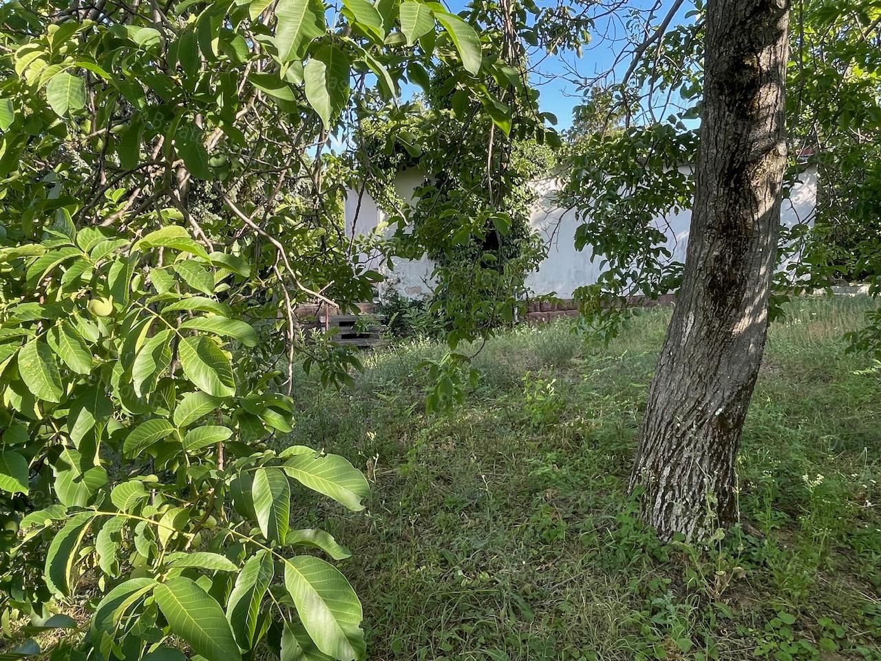 Balatonalmádiban felújítandó nyaraló eladó